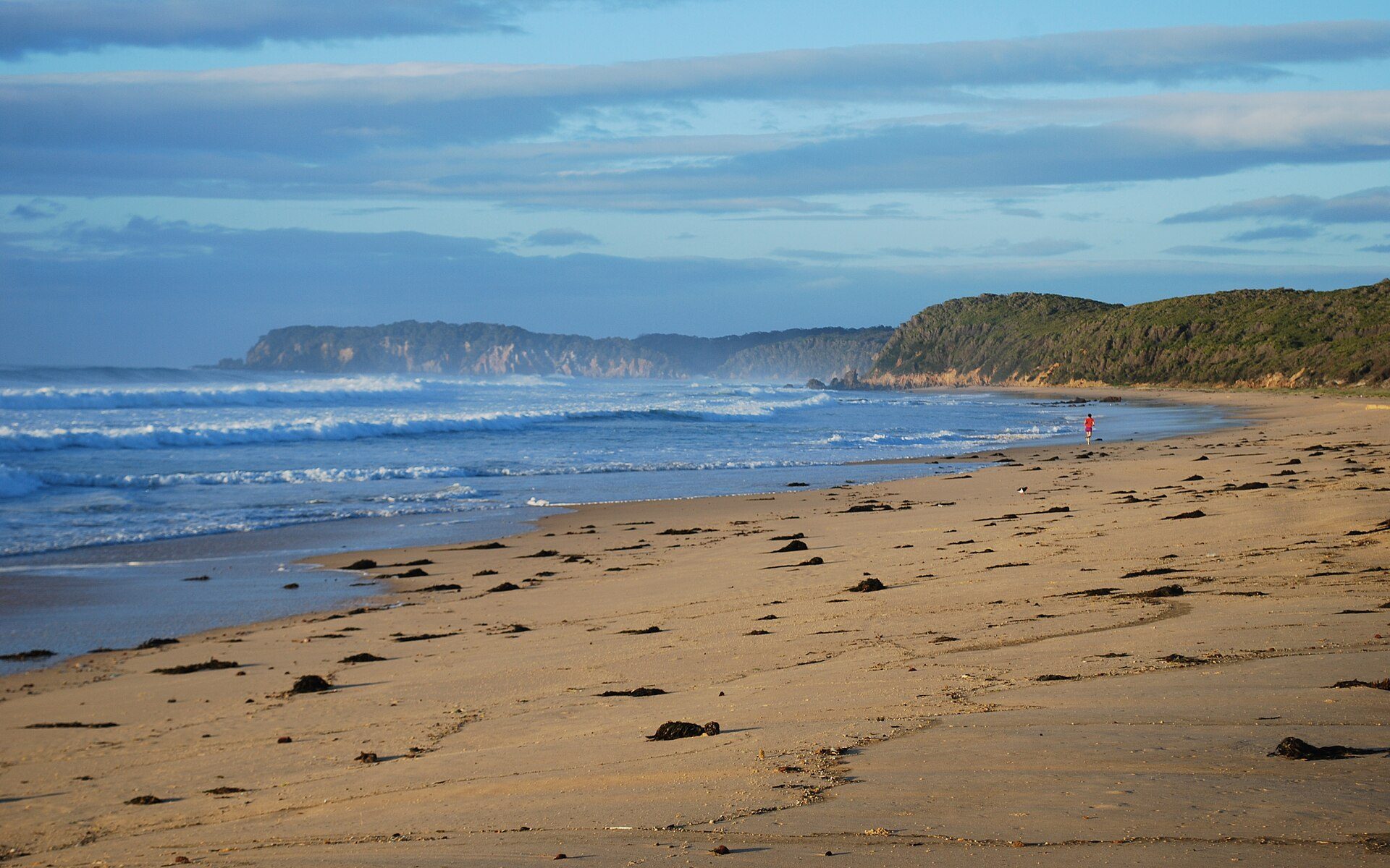 Gillards Beach Camping Area — Nelson, NSW