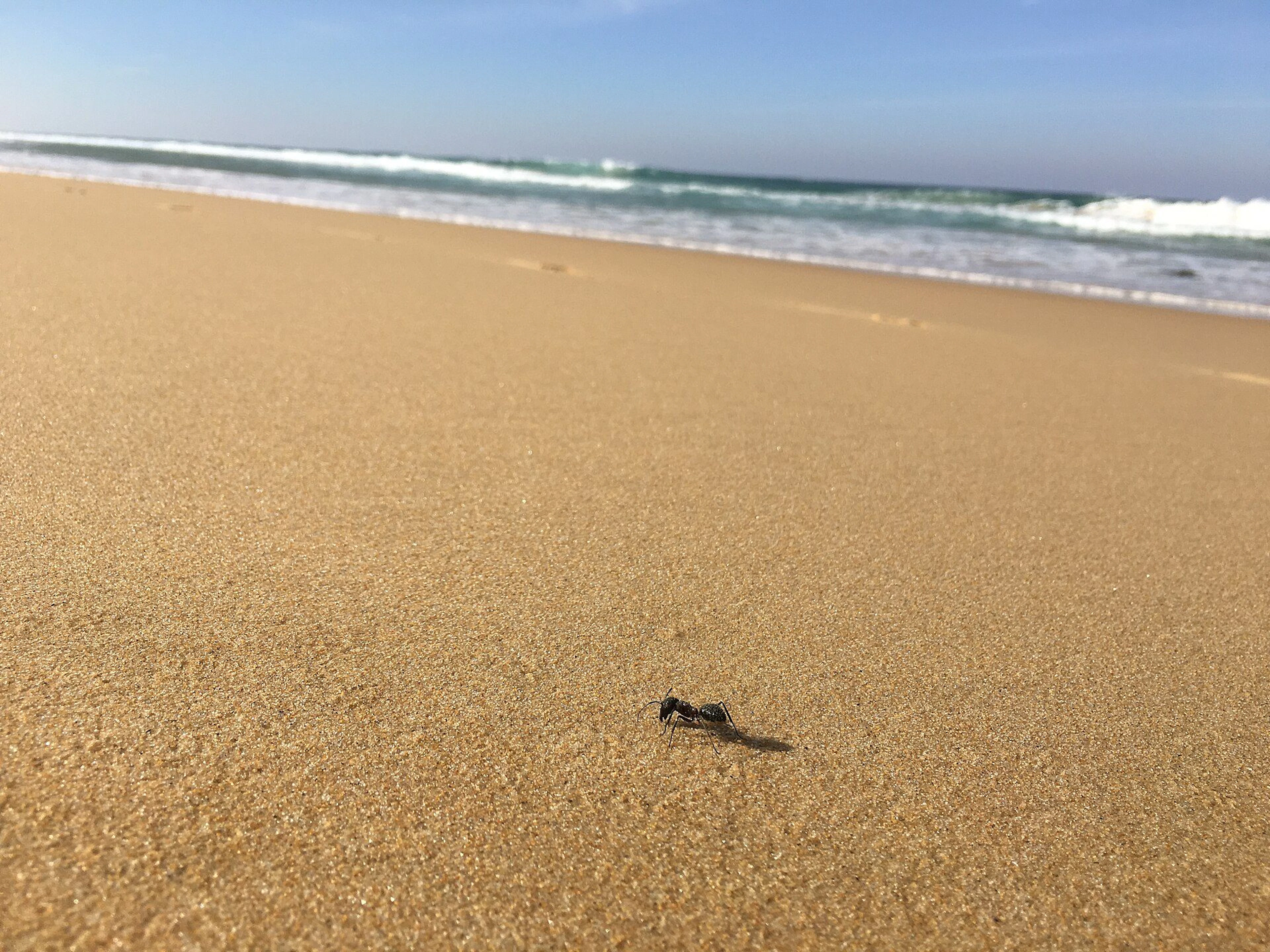 Gillards Beach Camping Area in Nelson, NSW — photo 1