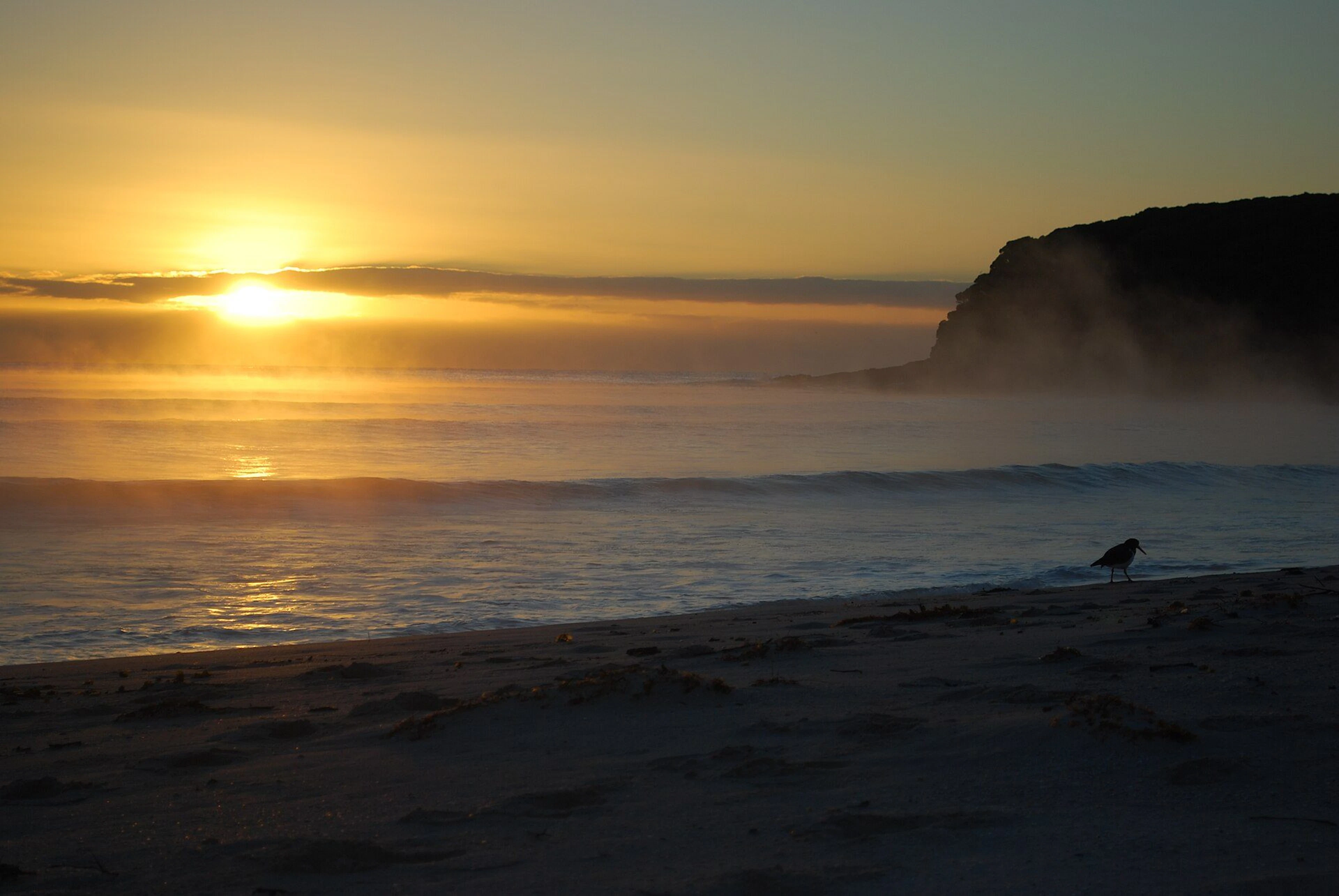 Saltwater Creek Camping Area in Green Cape, NSW — photo 1