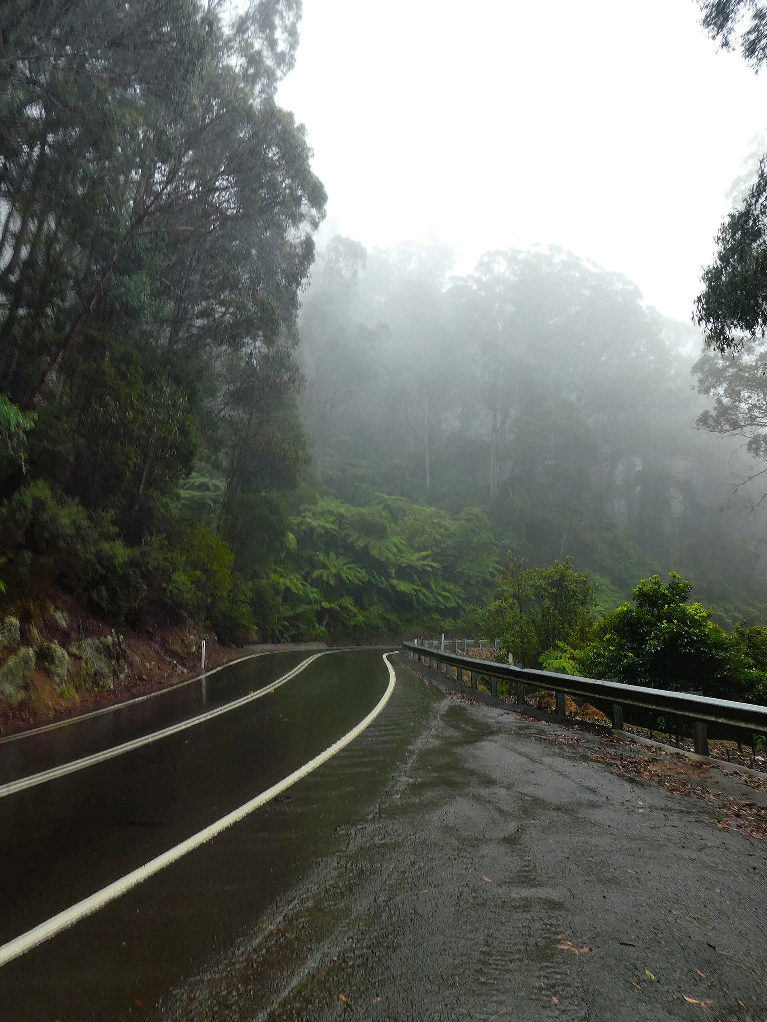 Brown Mountain Parking Area — Bemboka, NSW
