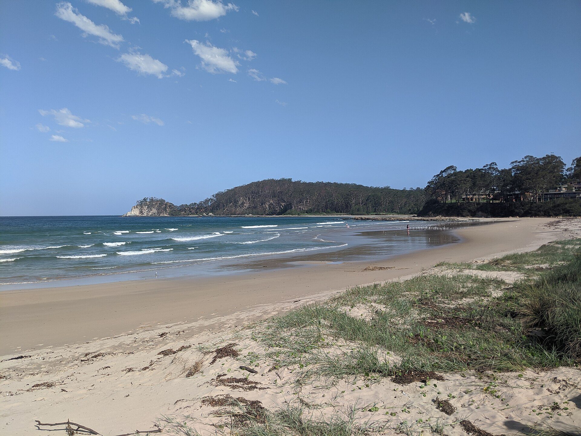Surf Beach Rest Area in Surf Beach, NSW — photo 1