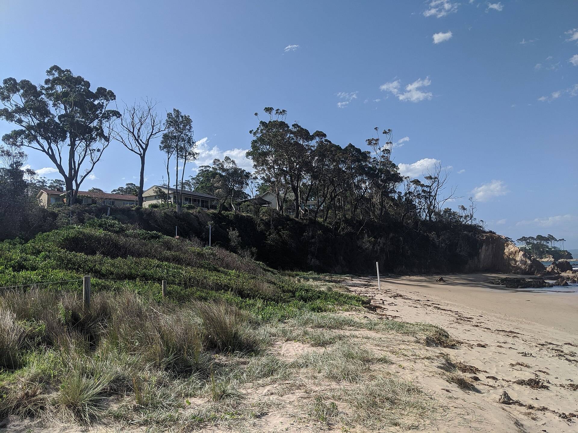 Surf Beach Rest Area in Surf Beach, NSW — photo 3