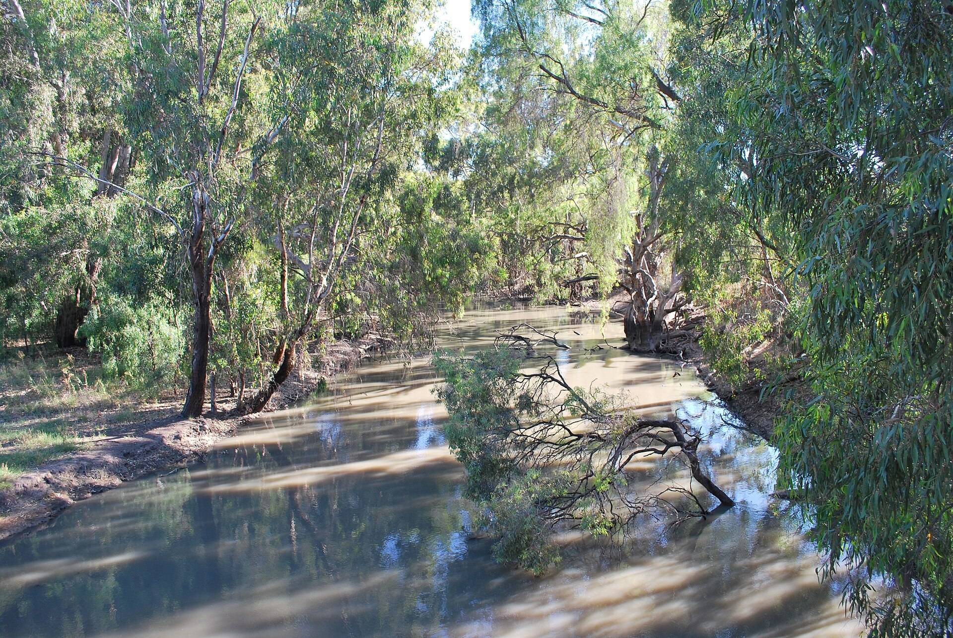 Yanco Creek Rest Area — Bundure, NSW