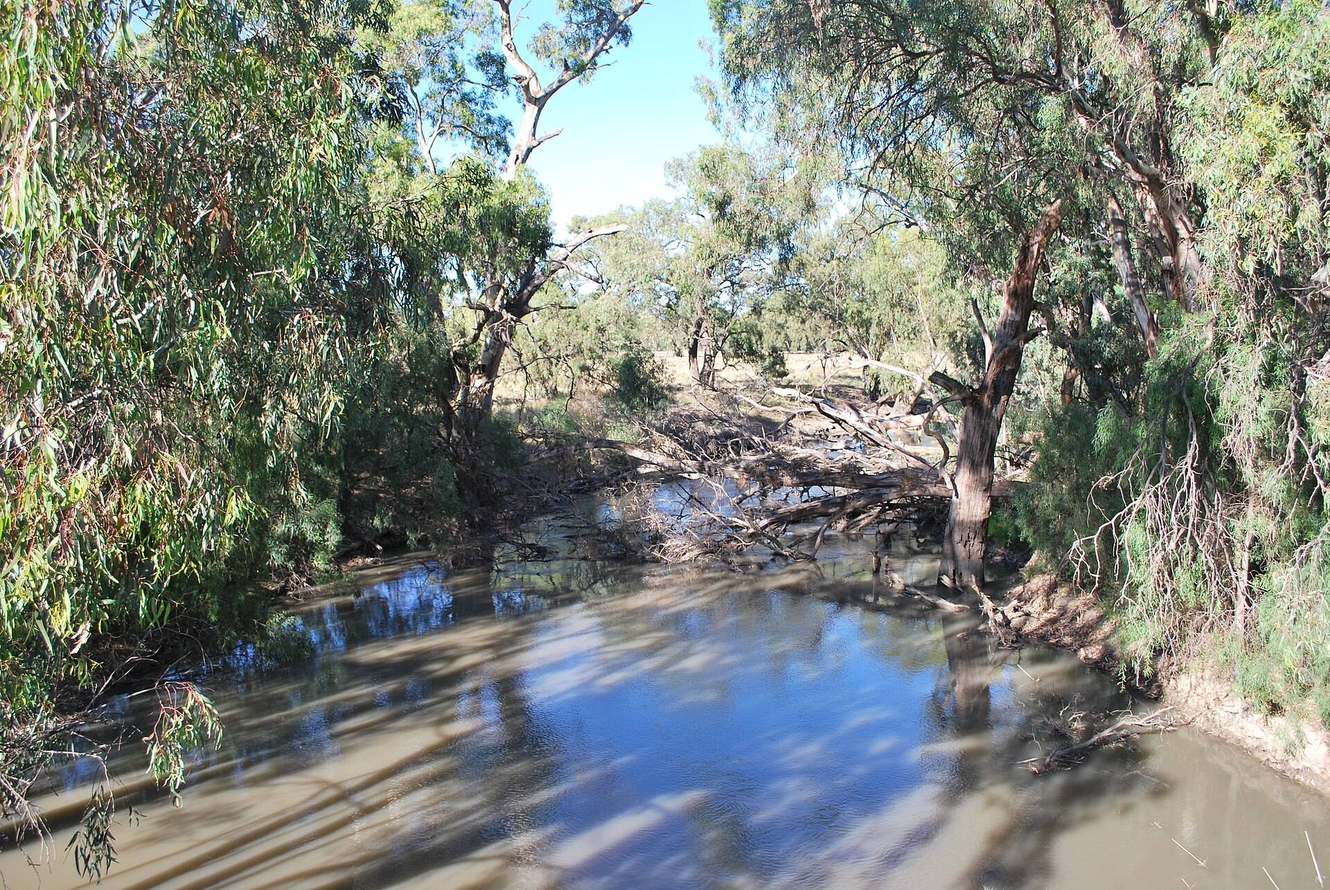 Yanco Creek Rest Area in Bundure, NSW — photo 1