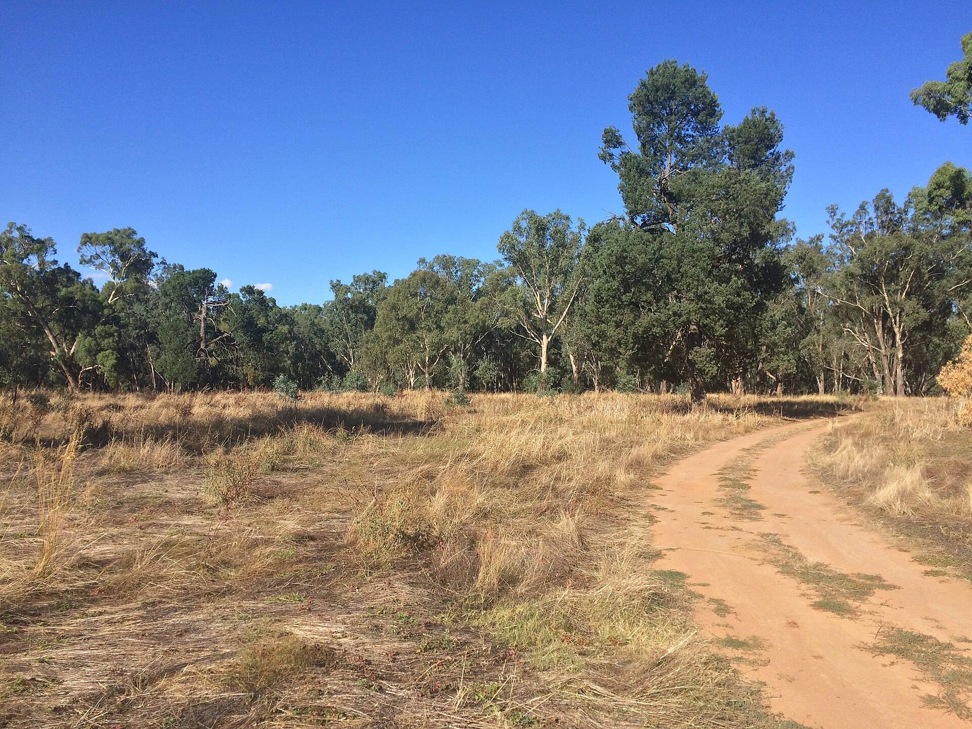 Berry Jerry Rest Area — Brookdale, NSW