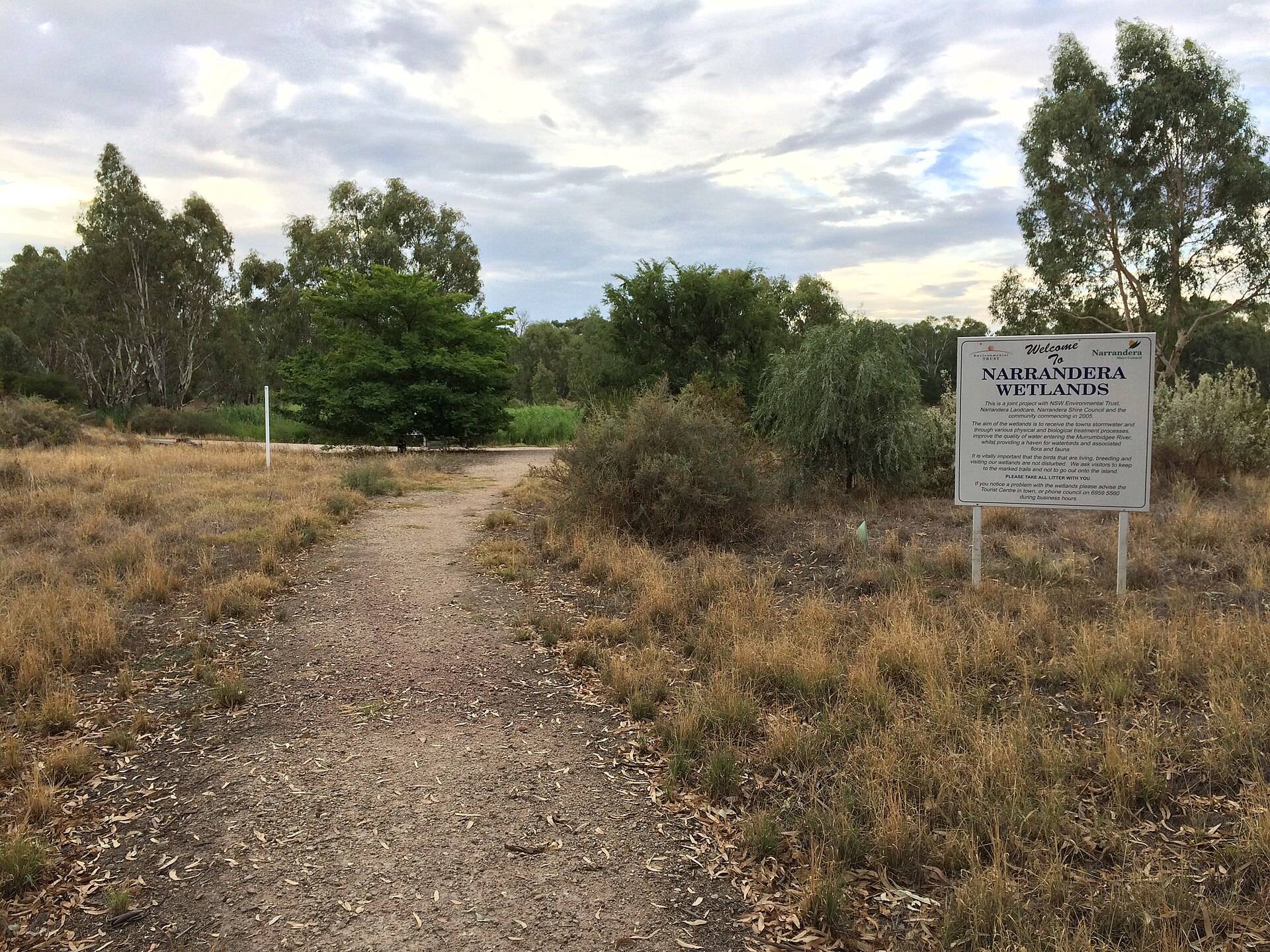 Narrandera Boat Ramp Brewery Flats Recreation Reserve in Narrandera, NSW — photo 1