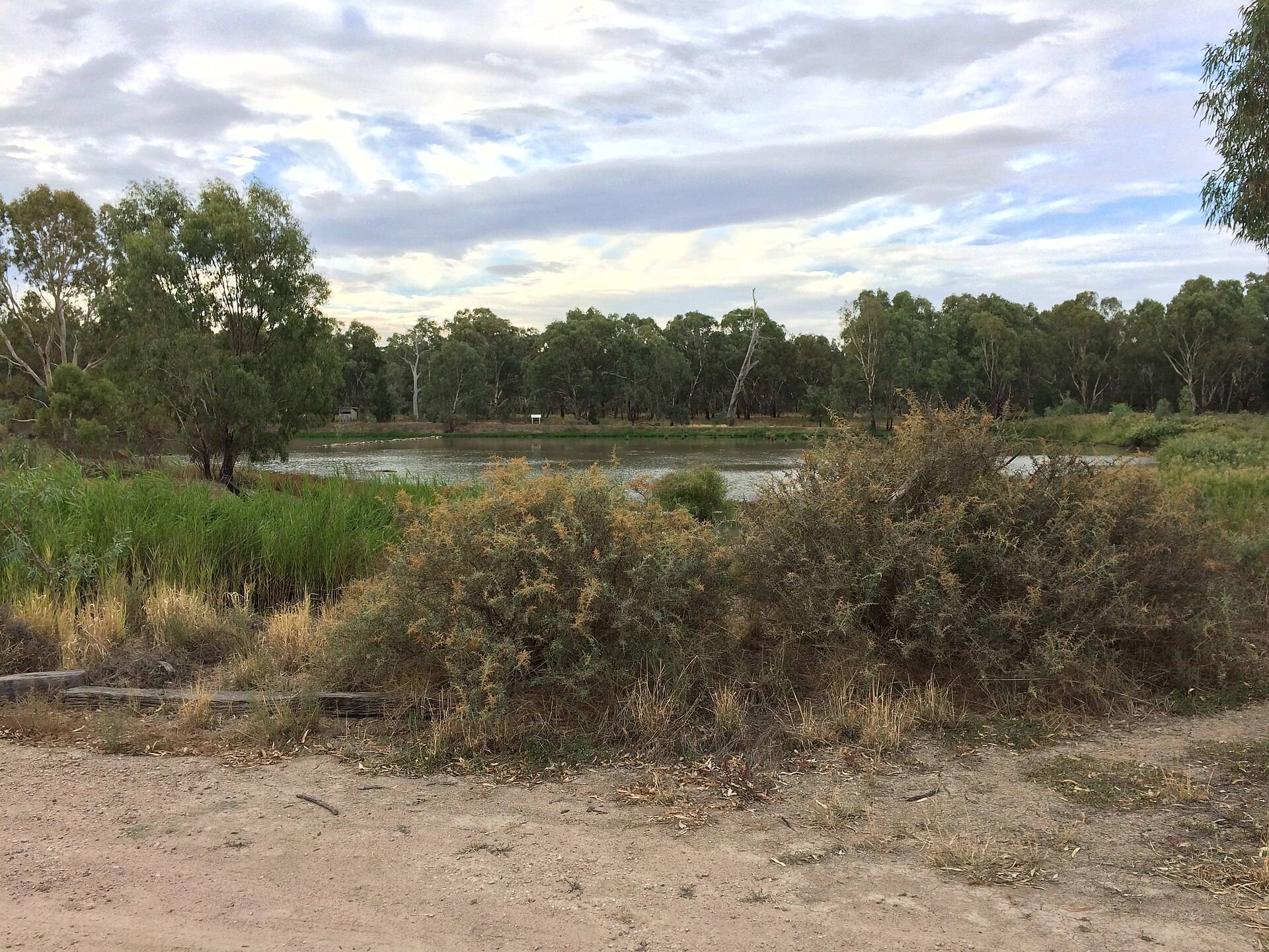 Narrandera Boat Ramp Brewery Flats Recreation Reserve in Narrandera, NSW — photo 2