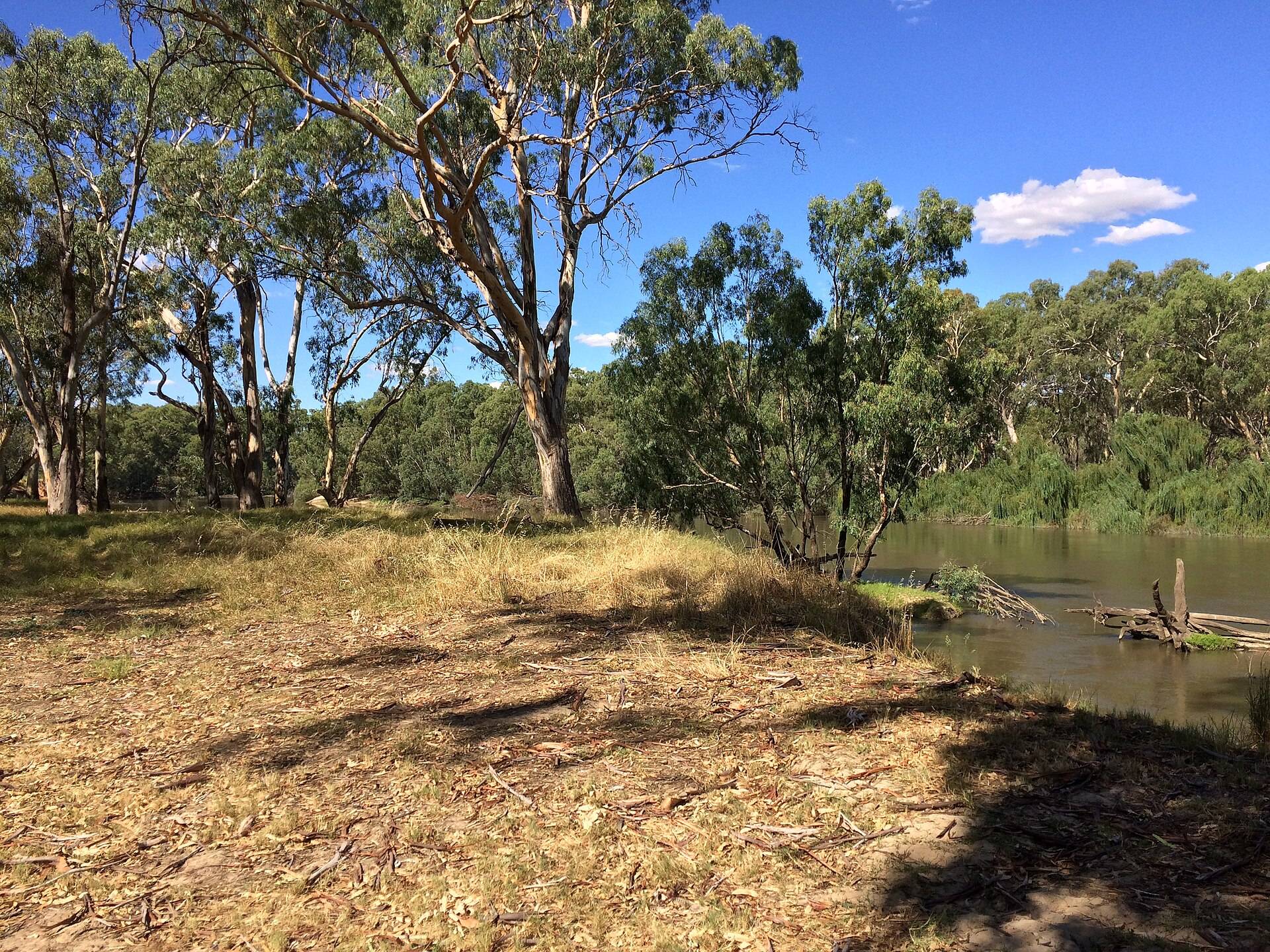 Sandy Beach Camp MIA-1 in Gillenbah, NSW — photo 1