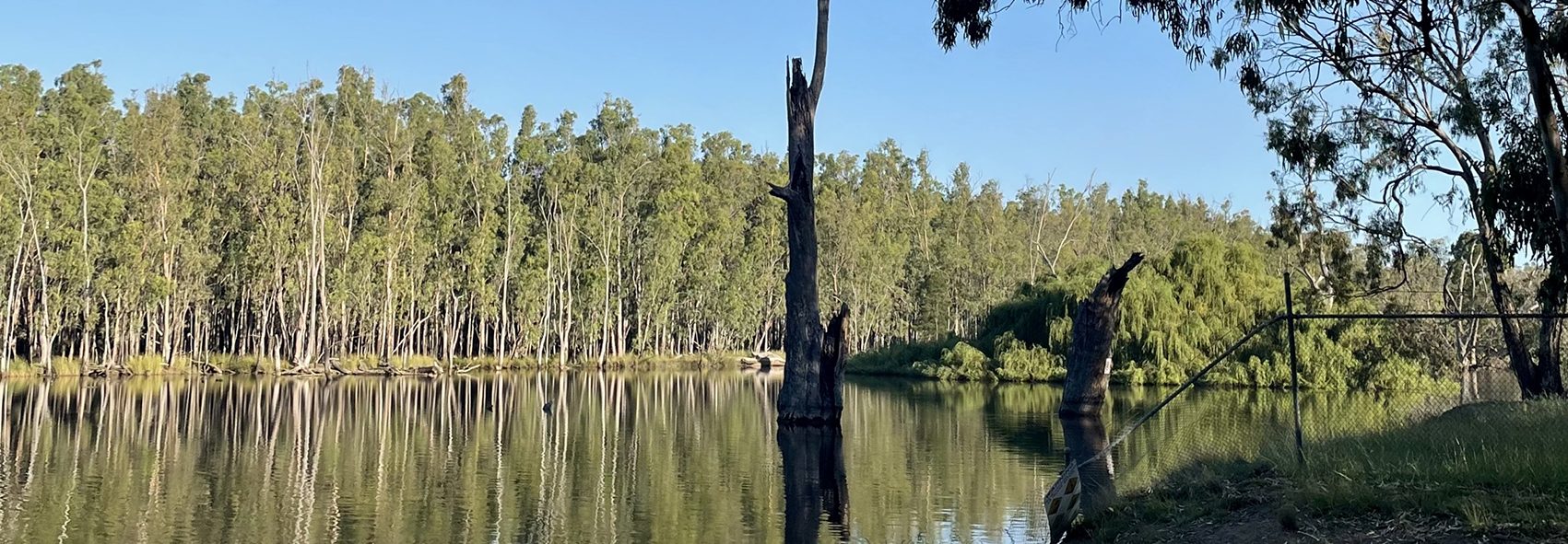 Gogeldrie Weir Holiday Park in Gogeldrie, NSW — photo 4