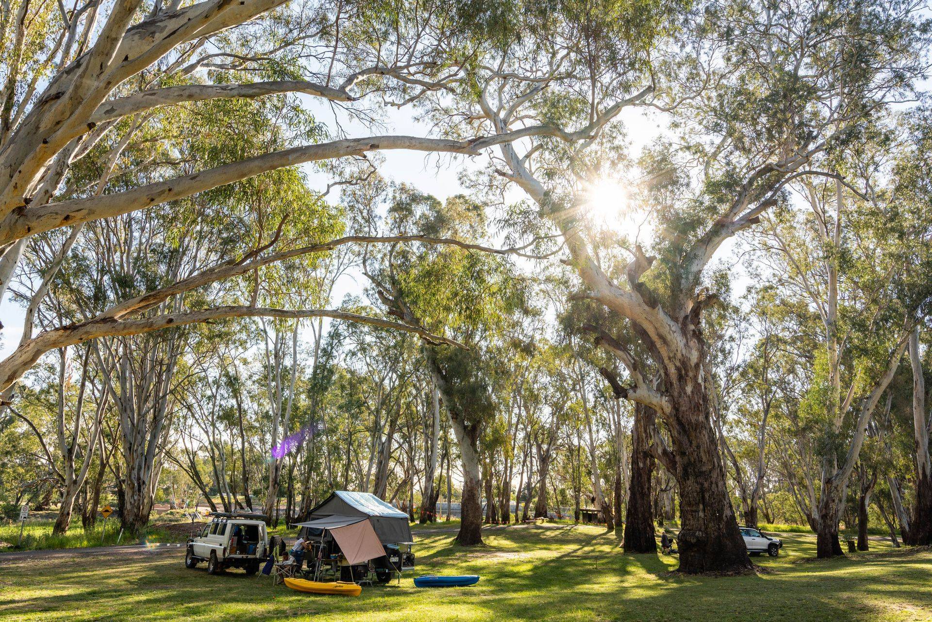 Darlington Point Riverside Caravan Park — Darlington Point, NSW