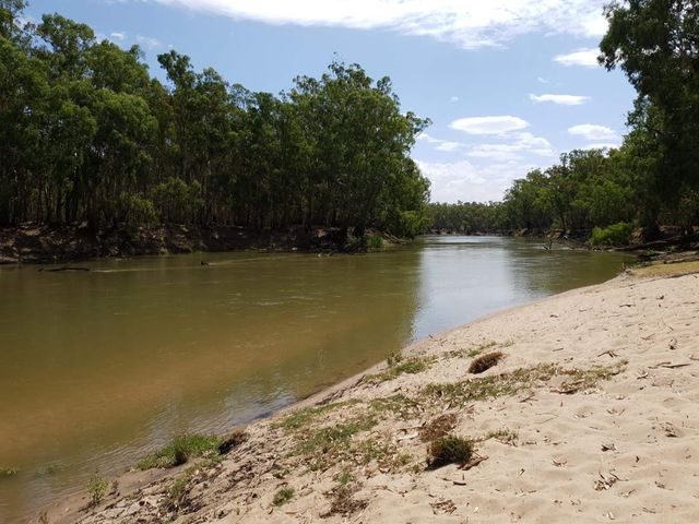 Darlington Point Riverside Caravan Park in Darlington Point, NSW — photo 2