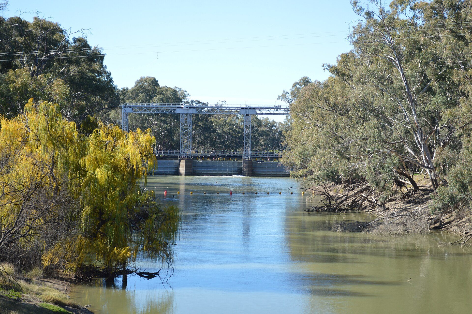 Yang Yang Camping Area Maude in Maude, NSW — photo 2