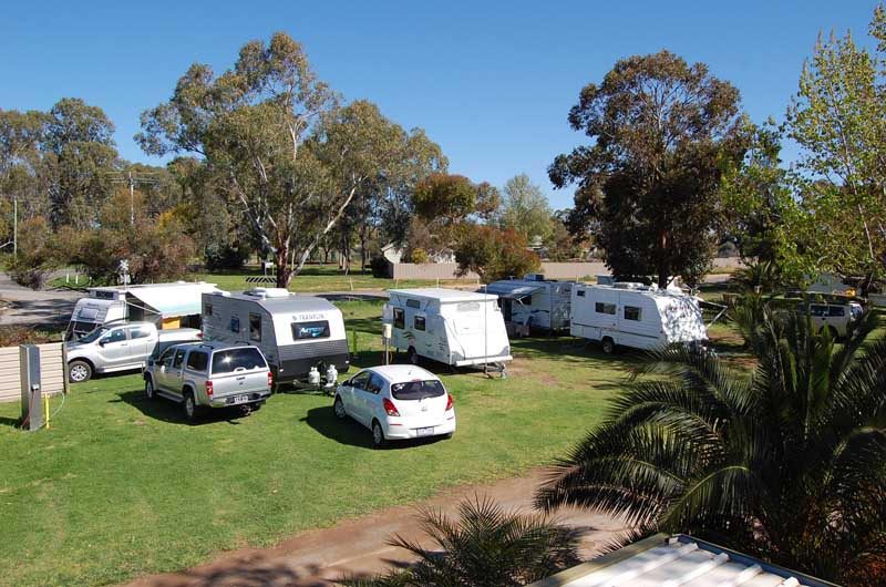 Curlwaa Caravan Park — Curlwaa, NSW