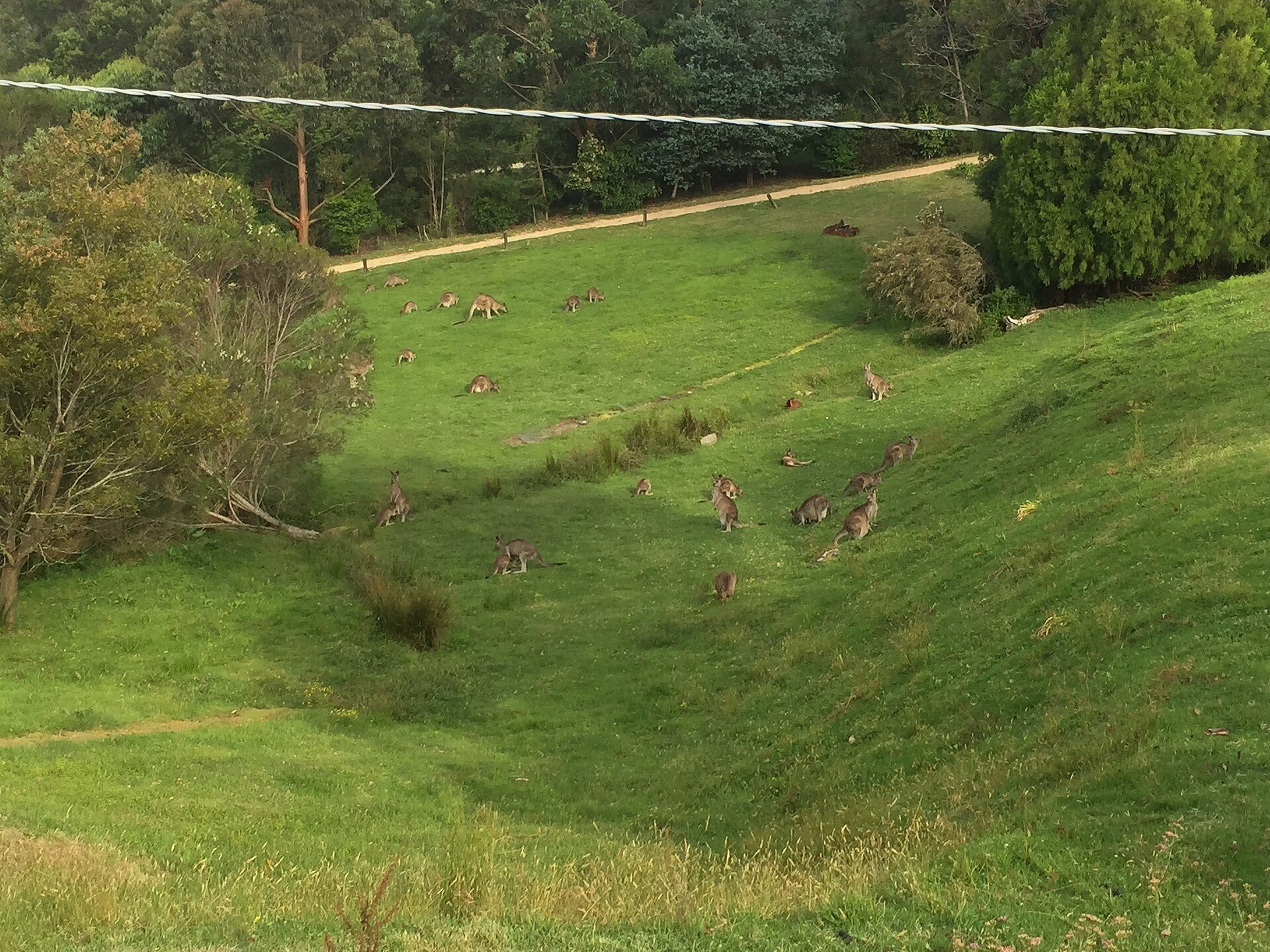 Wallagaraugh River Retreat in Wallagaraugh, VIC — photo 2