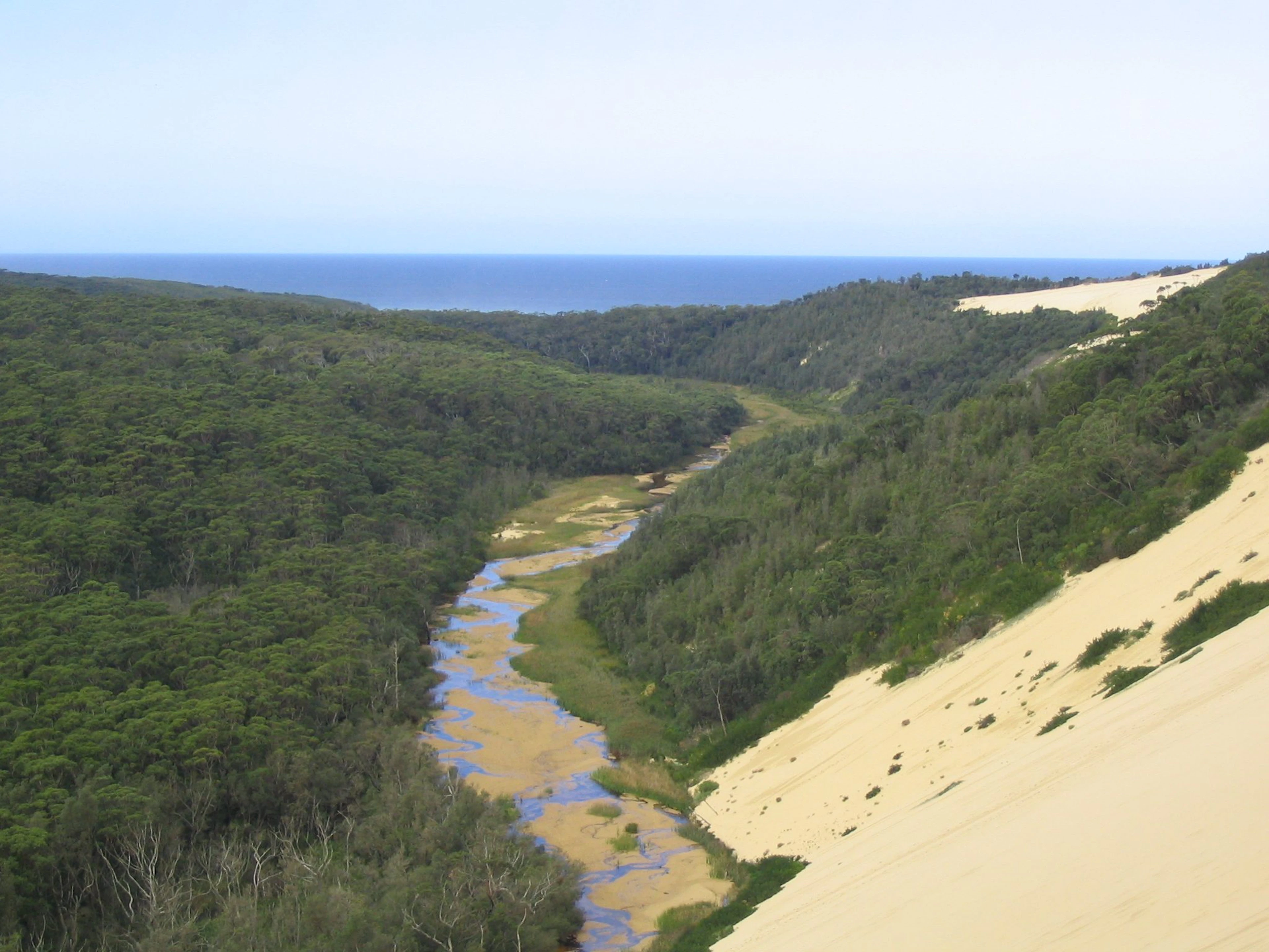 Thurra River Campground in Tamboon, VIC — photo 1
