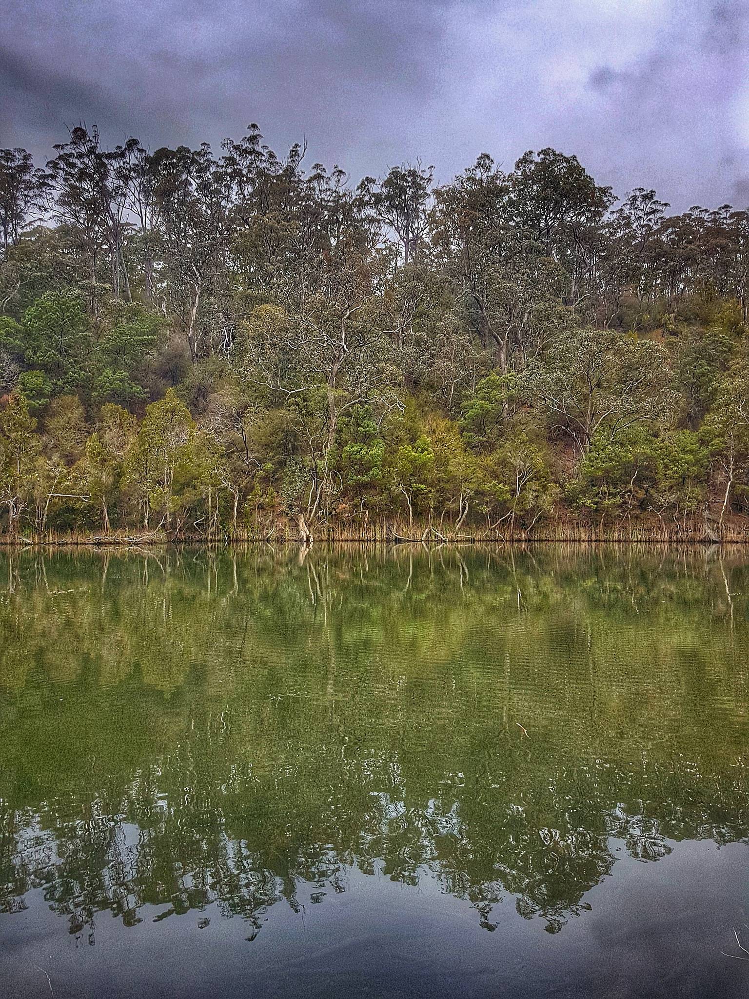 The Glasshouse Camping Area in Lake Tyers, VIC — photo 1