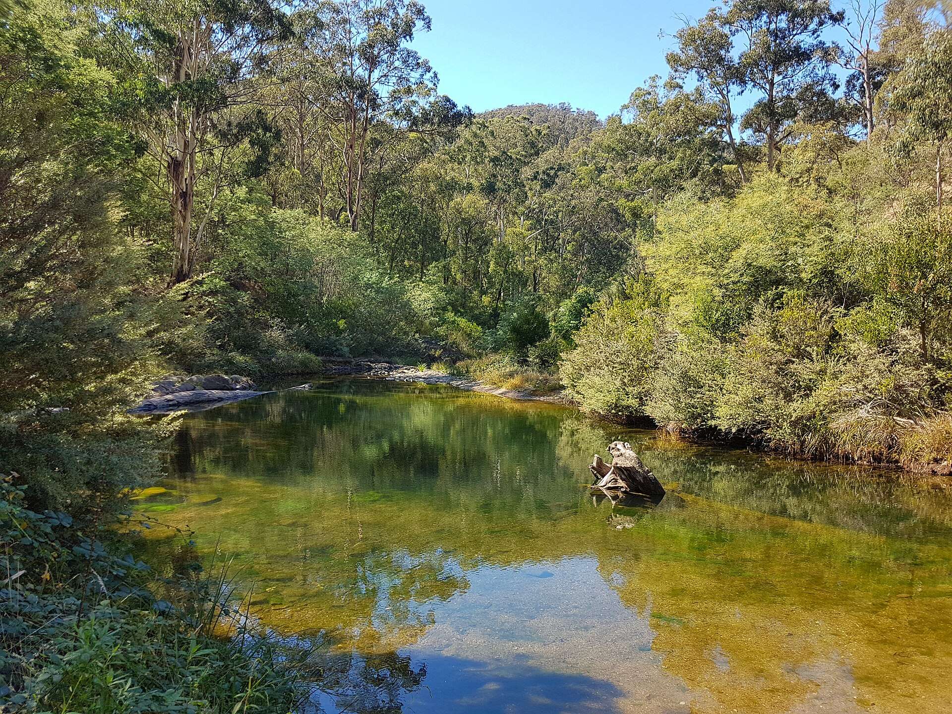 Aberfeldy River Camping Area — Baw Baw, VIC