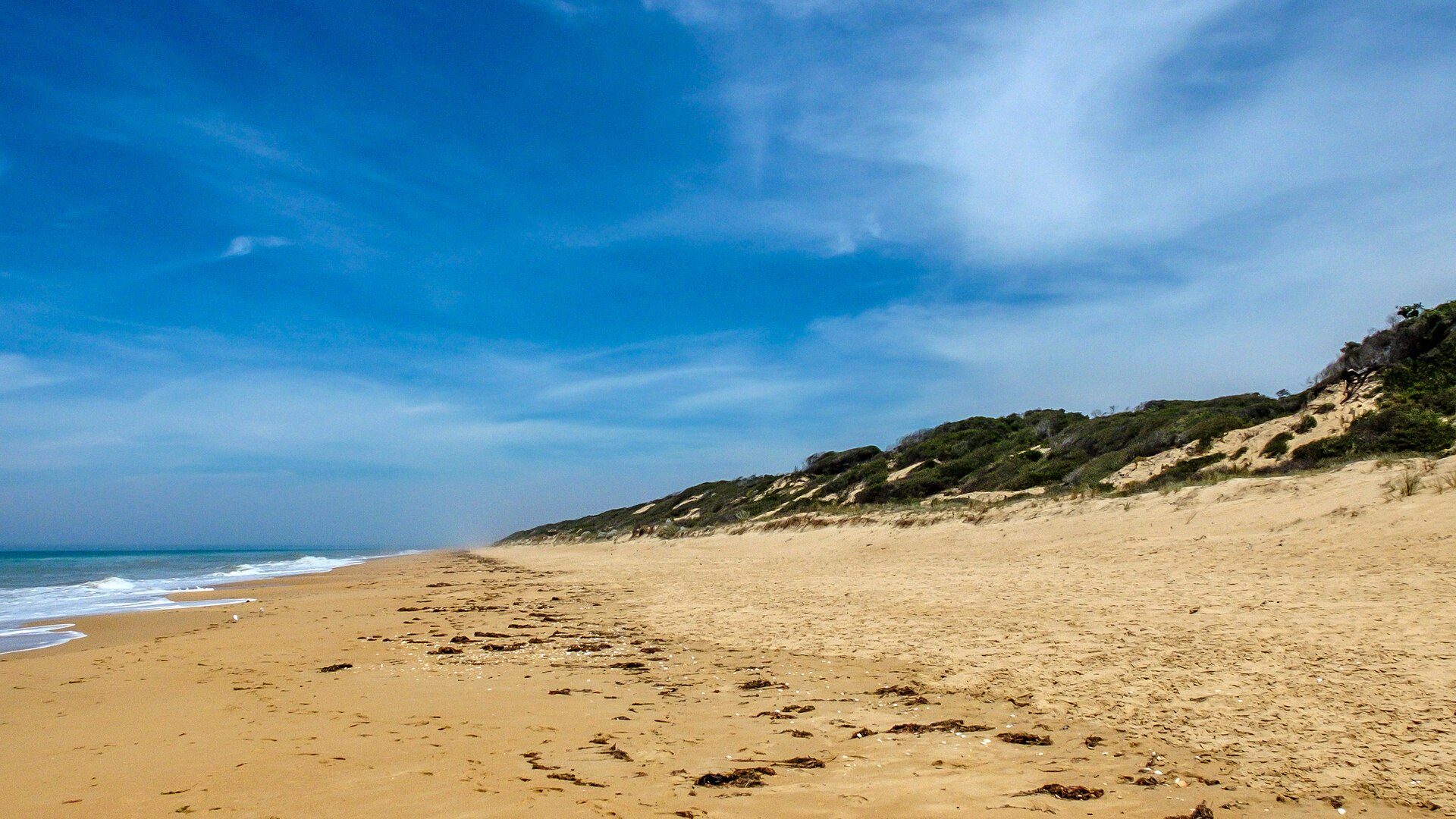 Paradise Beach Campground — Paradise Beach, VIC