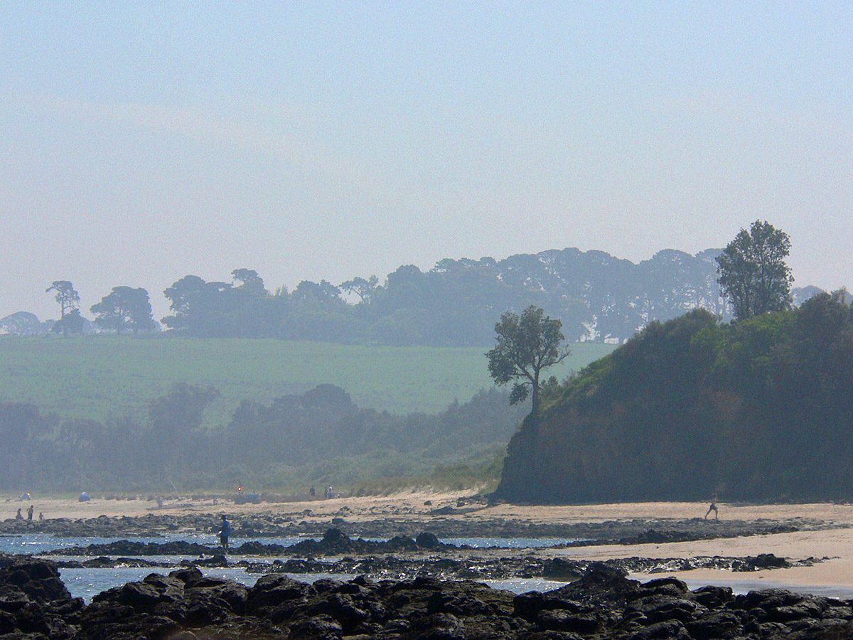Balnarring Beach Camping Reserve in Balnarring Beach, VIC — photo 3
