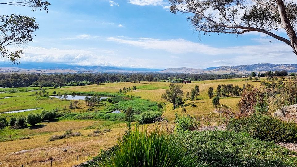 Walwa Riverside Caravan Park in Walwa, VIC — photo 5