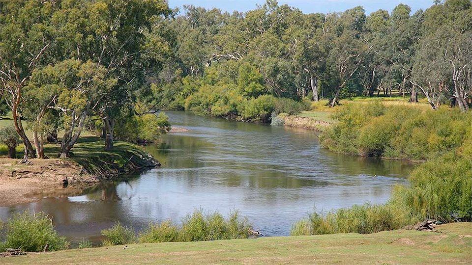 Walwa Riverside Caravan Park in Walwa, VIC — photo 4