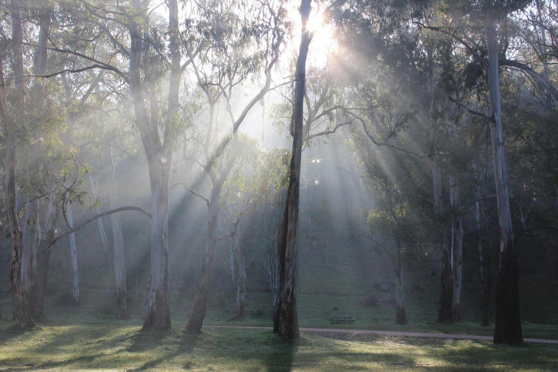 Sheepyard Flat Camping Area — Howqua Hills, VIC
