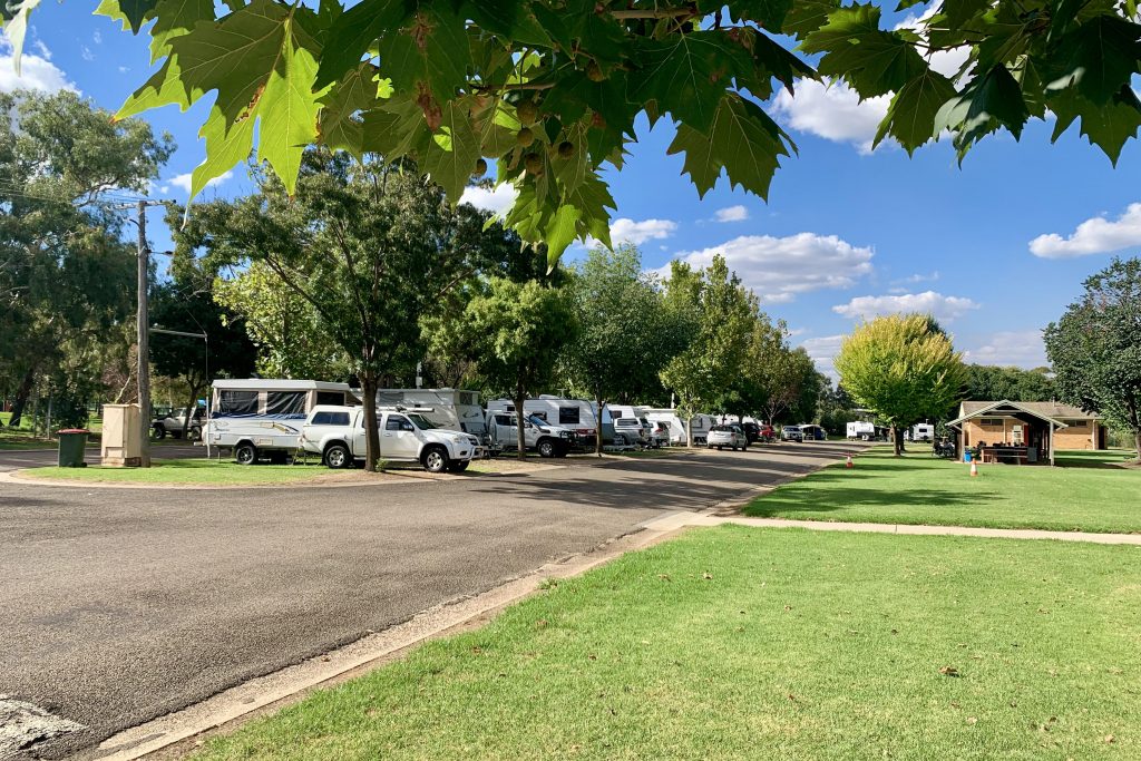 Cootamundra Caravan Park — Cootamundra, NSW