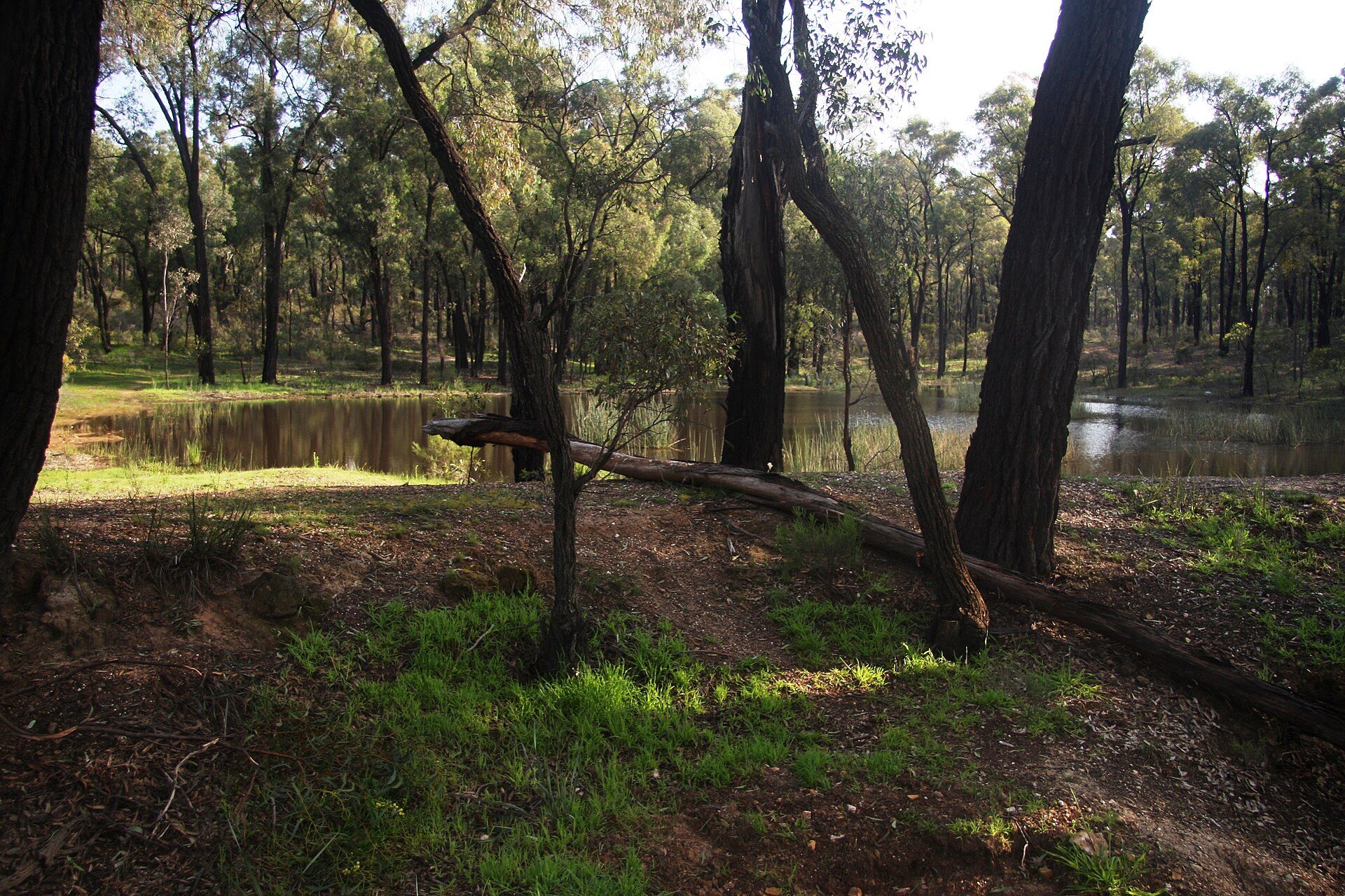Greens Campground — Whroo, VIC