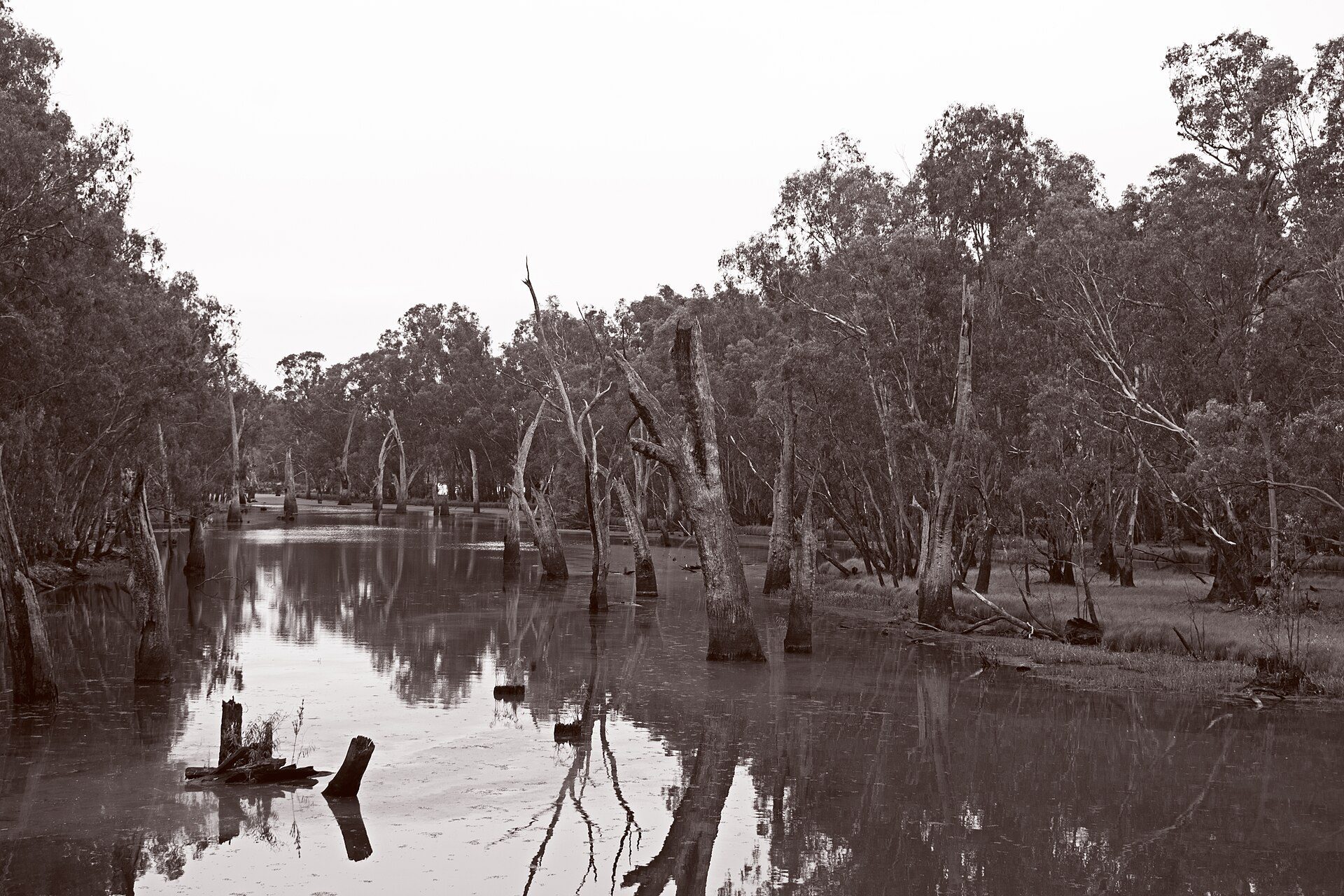 Parolas Bend Camping Area in Esmond, VIC — photo 2