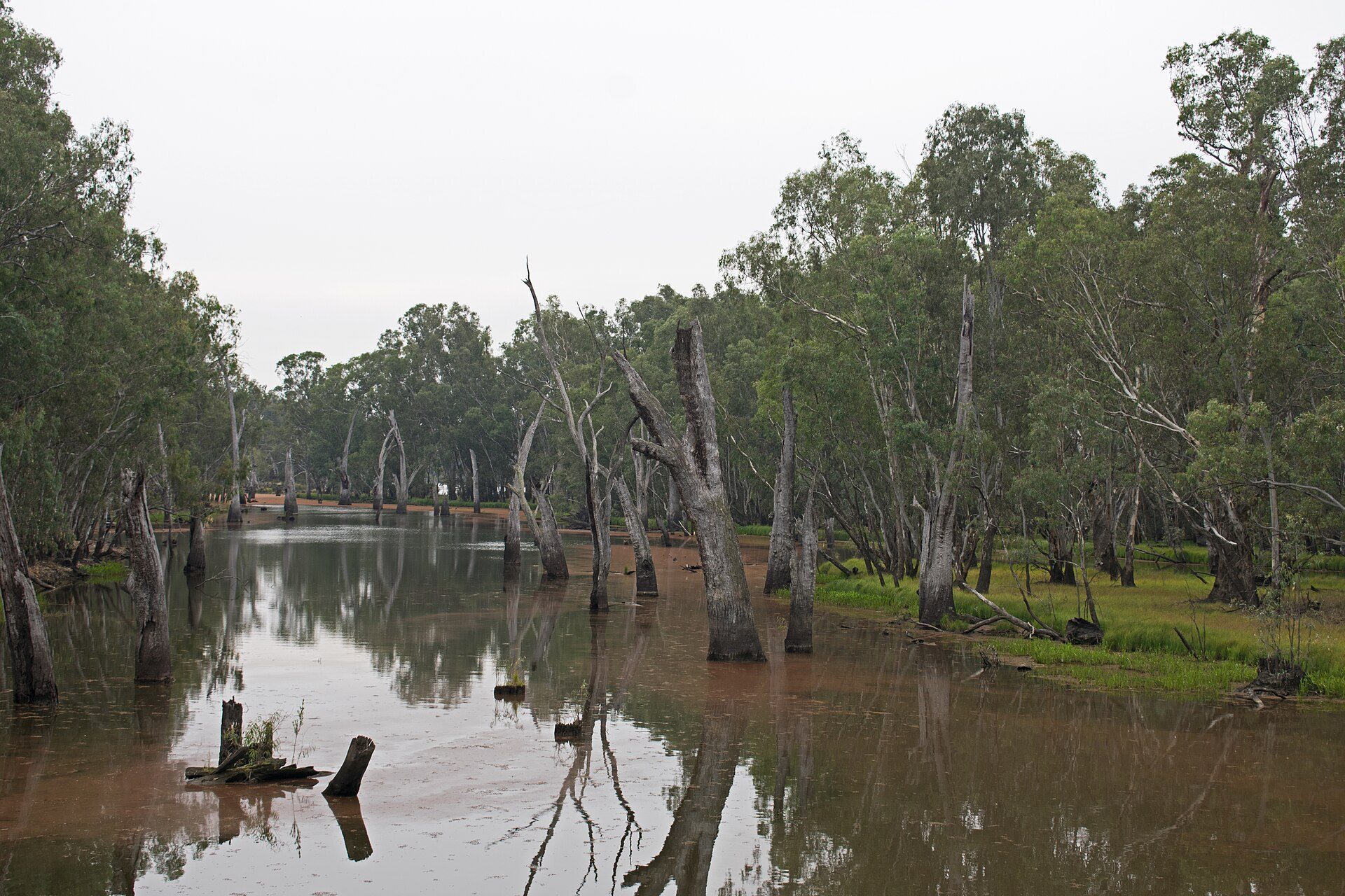 Parolas Bend Camping Area in Esmond, VIC — photo 1