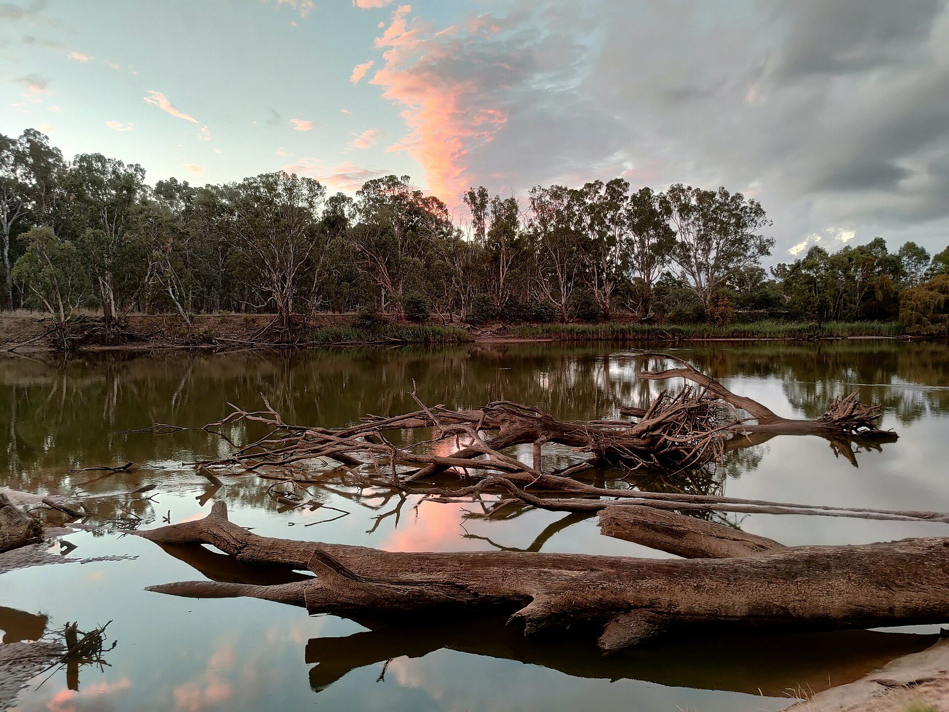 Forges Bend Camping Area — Yarrawonga, VIC