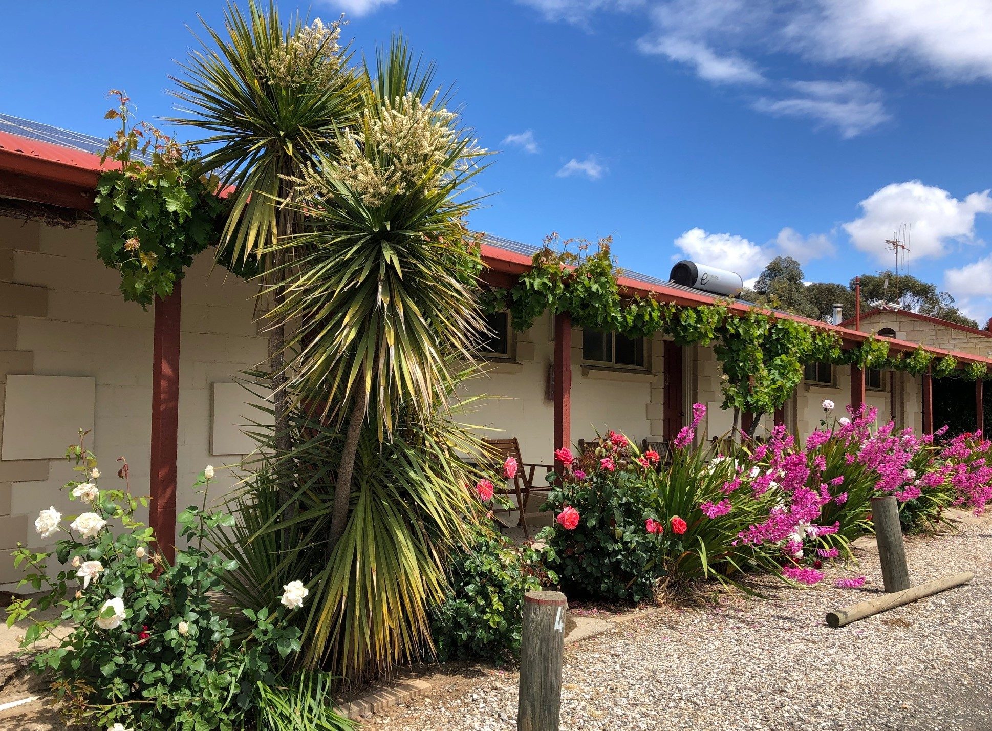 Inglewood Motel and Caravan Park in Inglewood, VIC — photo 4
