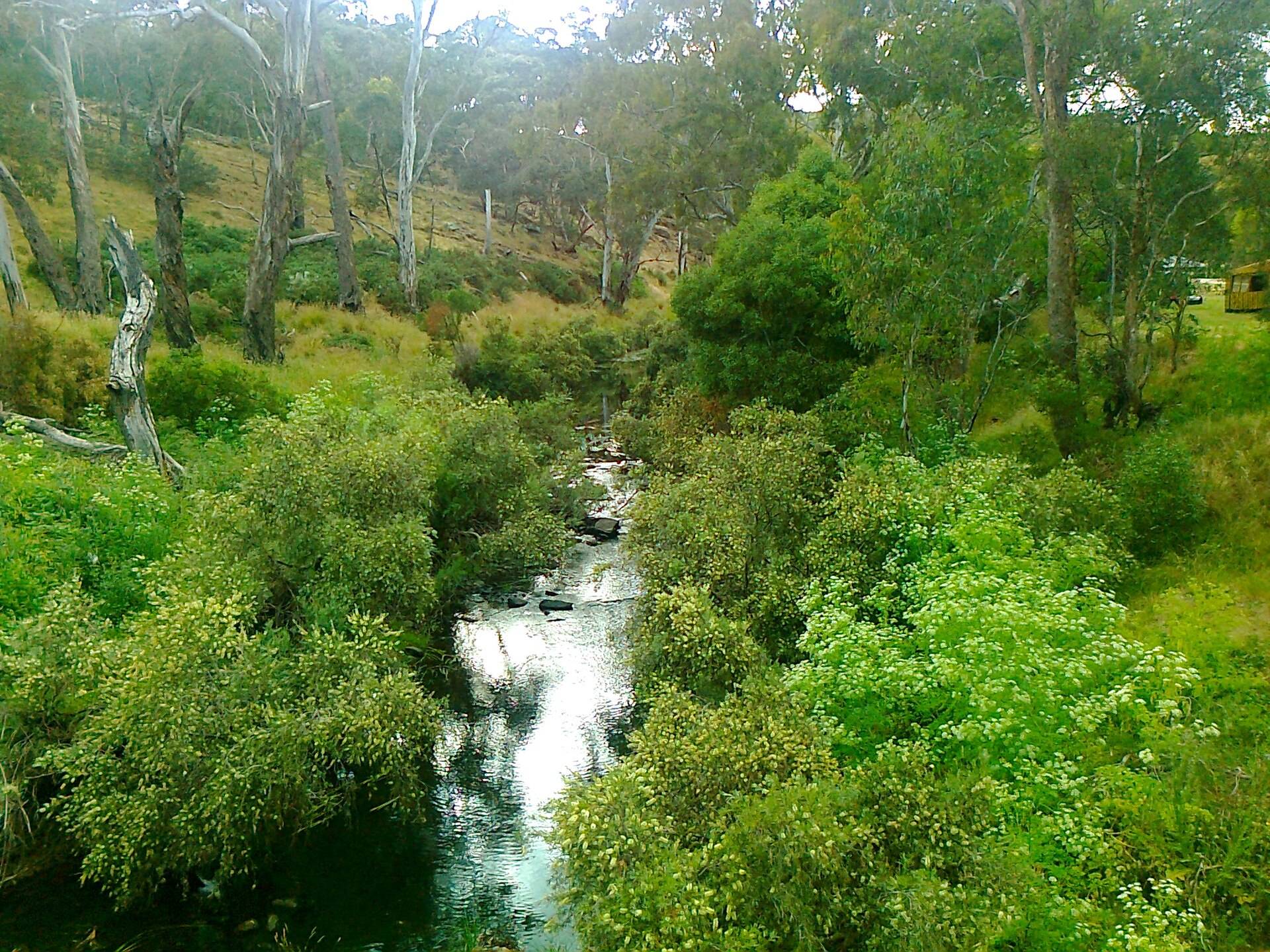 Vaughan Springs Reserve Camping Area in Vaughan, VIC — photo 2