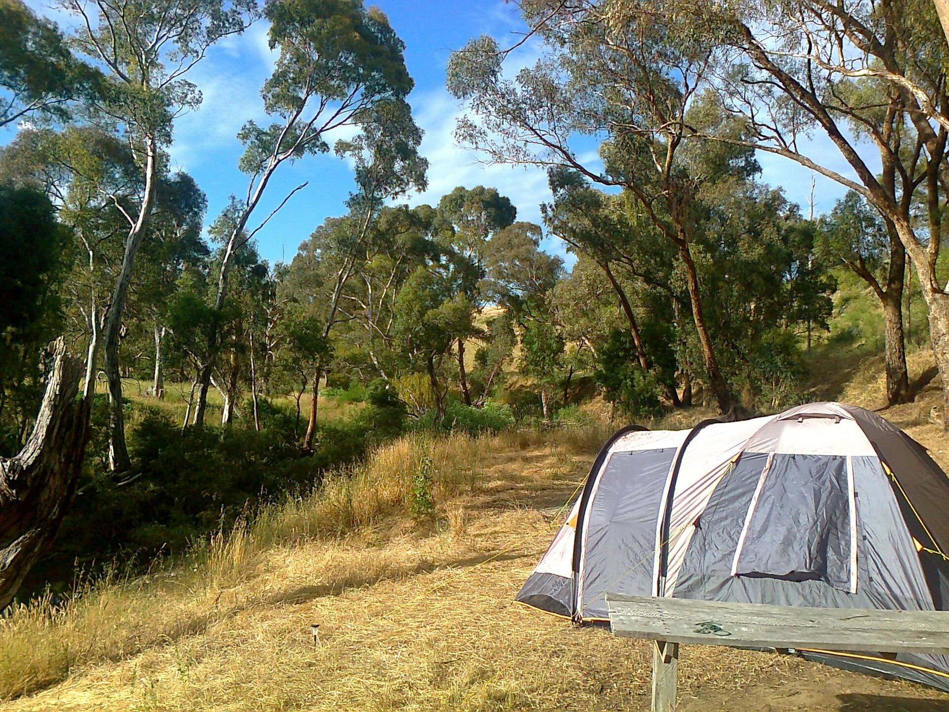 Vaughan Springs Reserve Camping Area — Vaughan, VIC