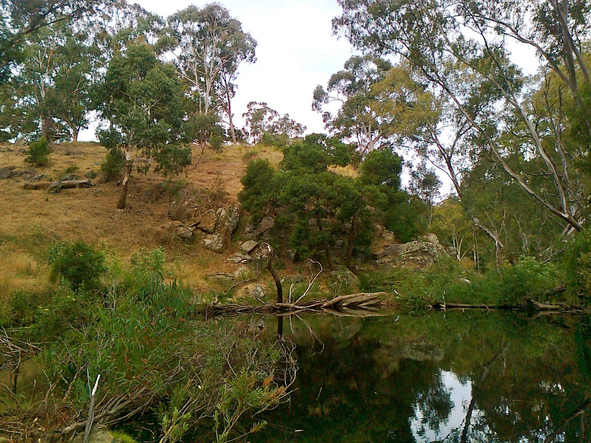Vaughan Springs Reserve Camping Area in Vaughan, VIC — photo 1