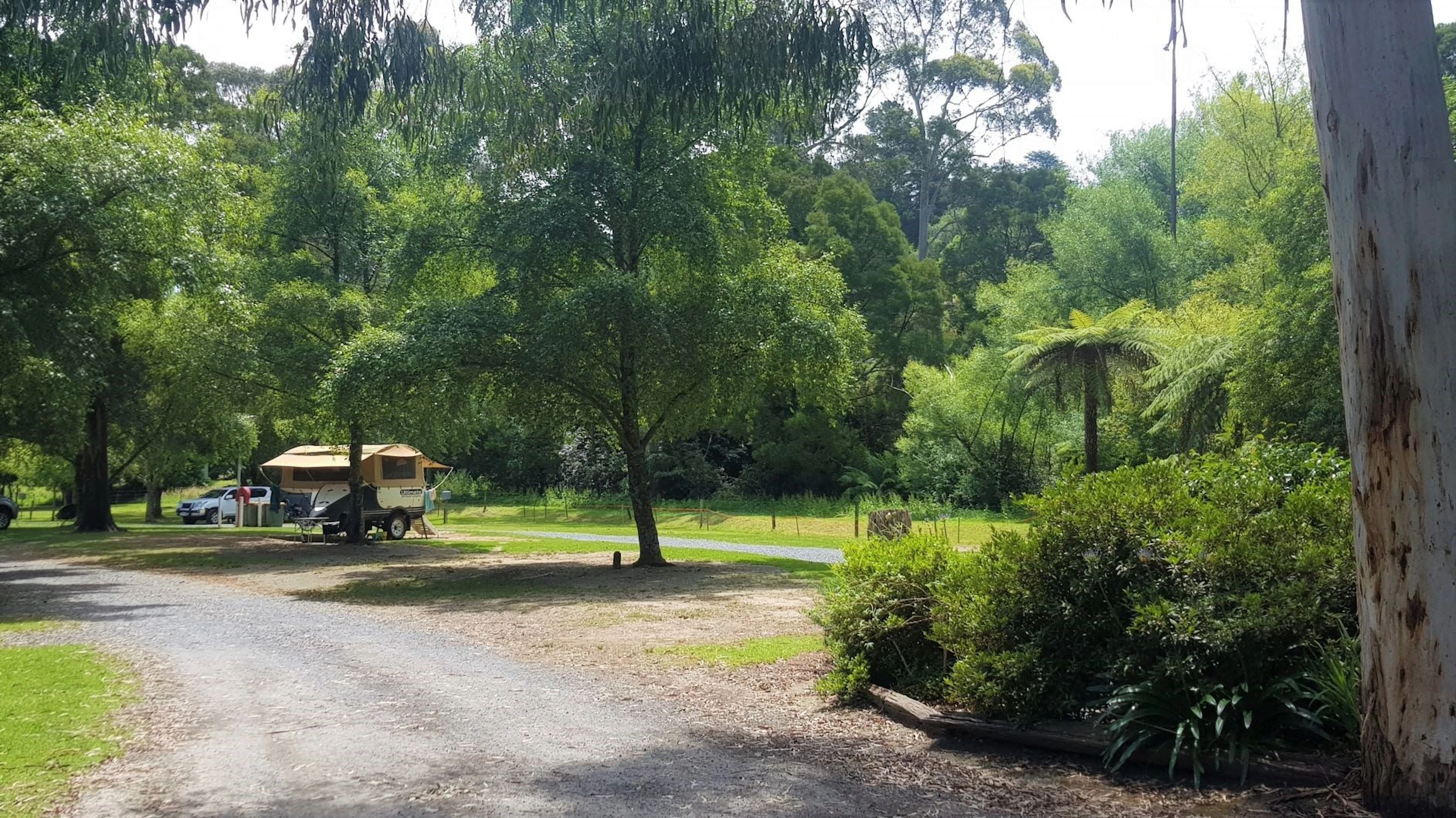 Warburton Bridge Reserve Camping Area in Glenluce, VIC — photo 4