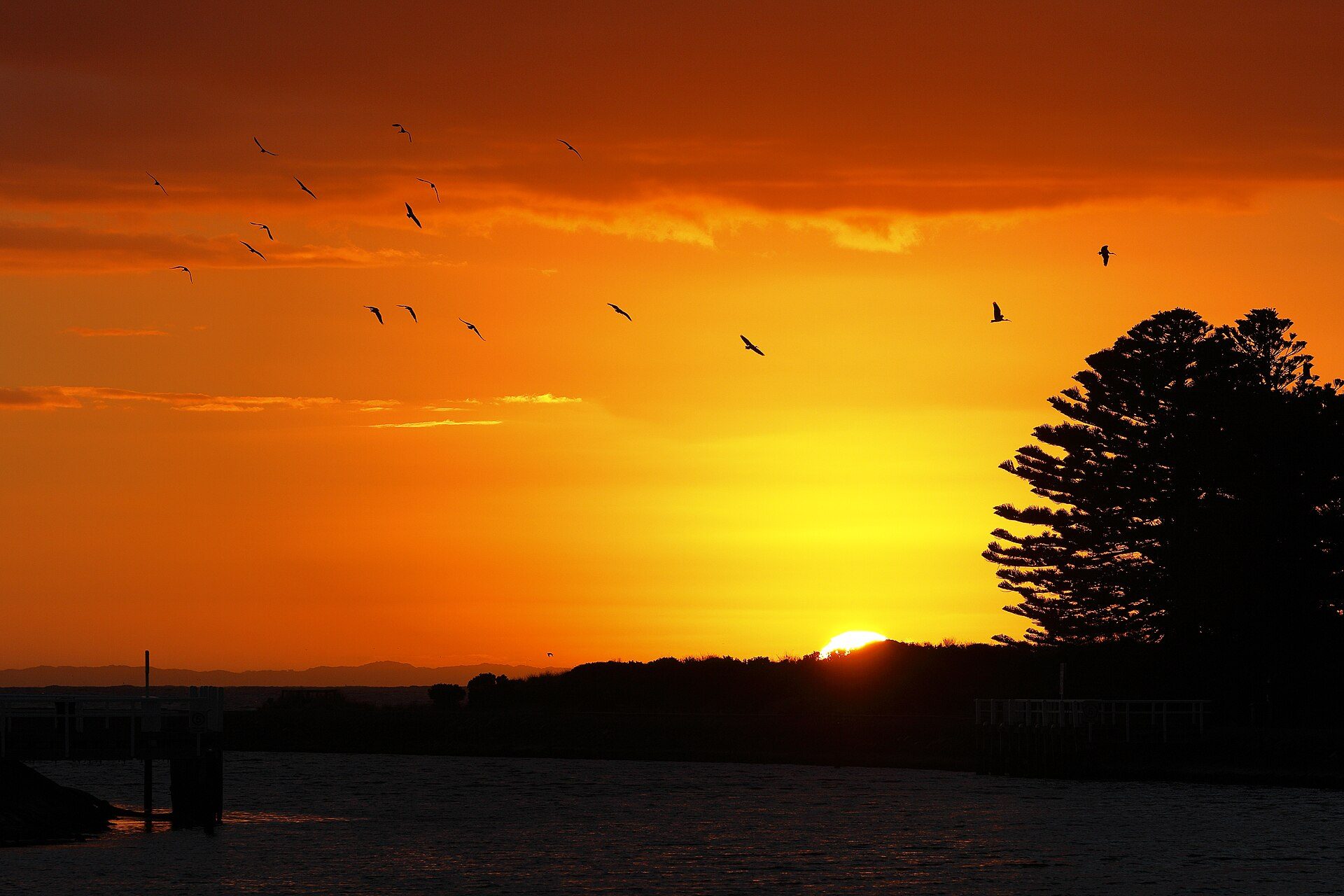Martins Point Picnic Area in Port Fairy, VIC — photo 2