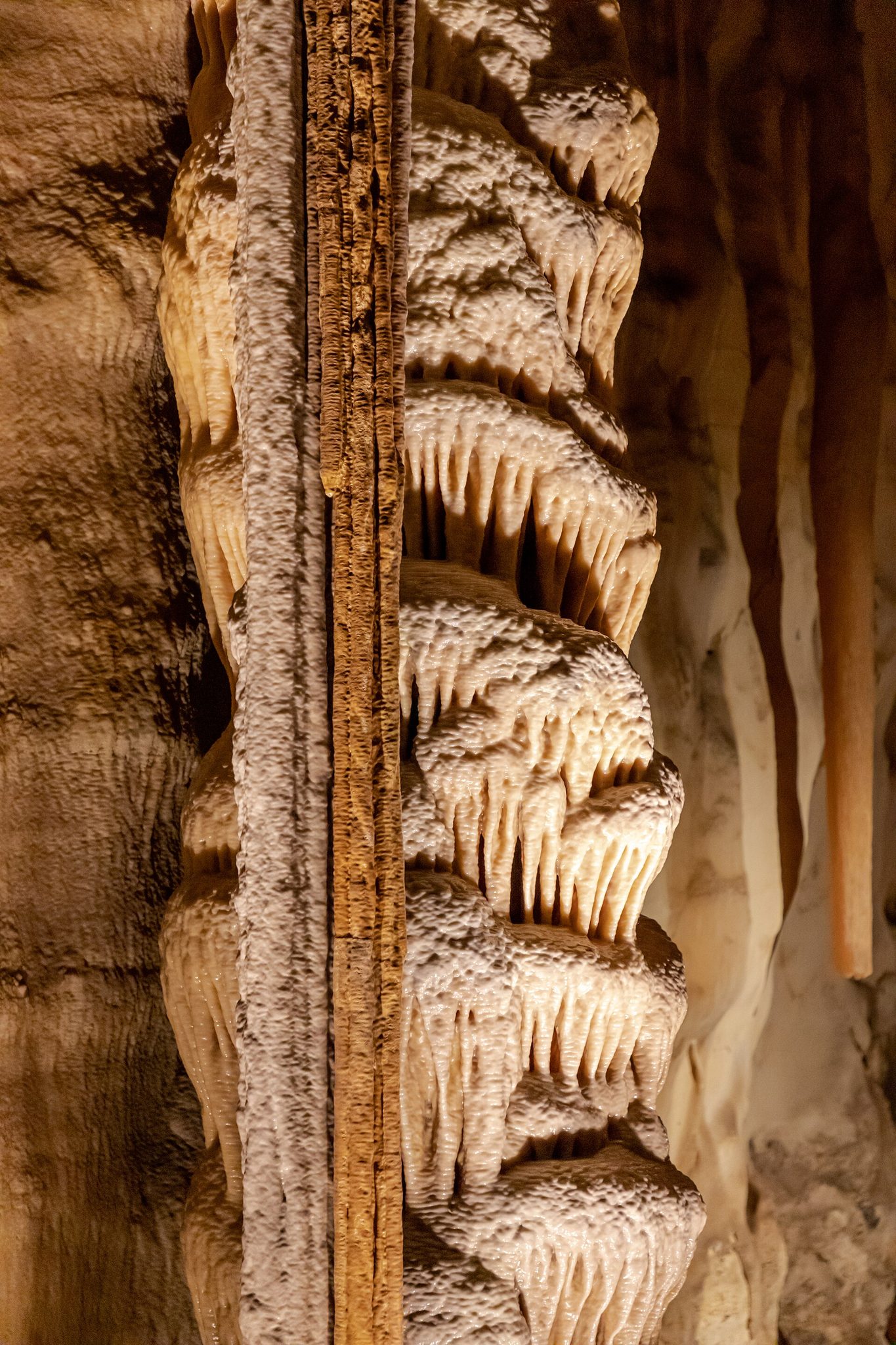Princess Margaret Rose Caves Camping Area in Mumbannar, VIC — photo 1