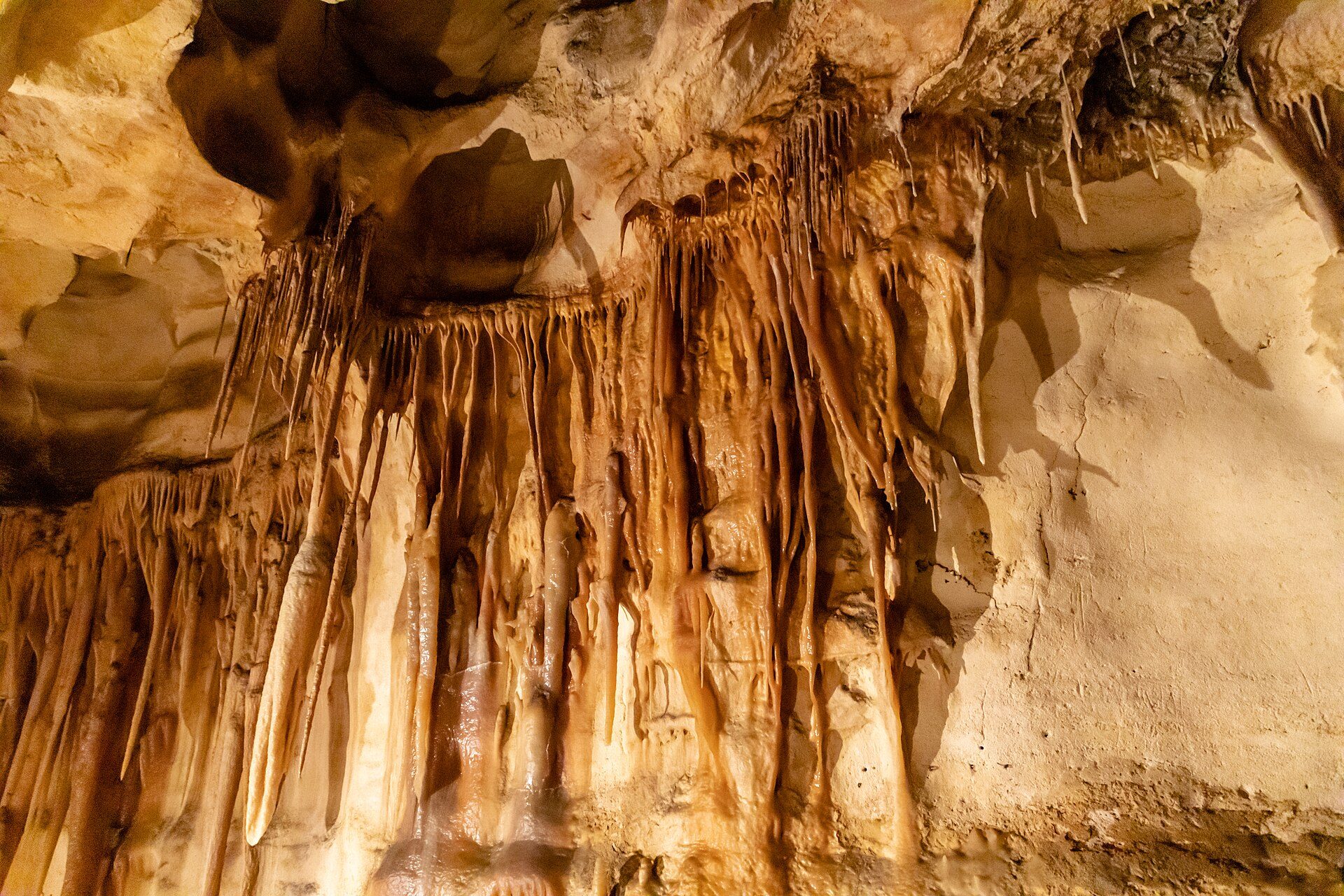 Princess Margaret Rose Caves Camping Area in Mumbannar, VIC — photo 2