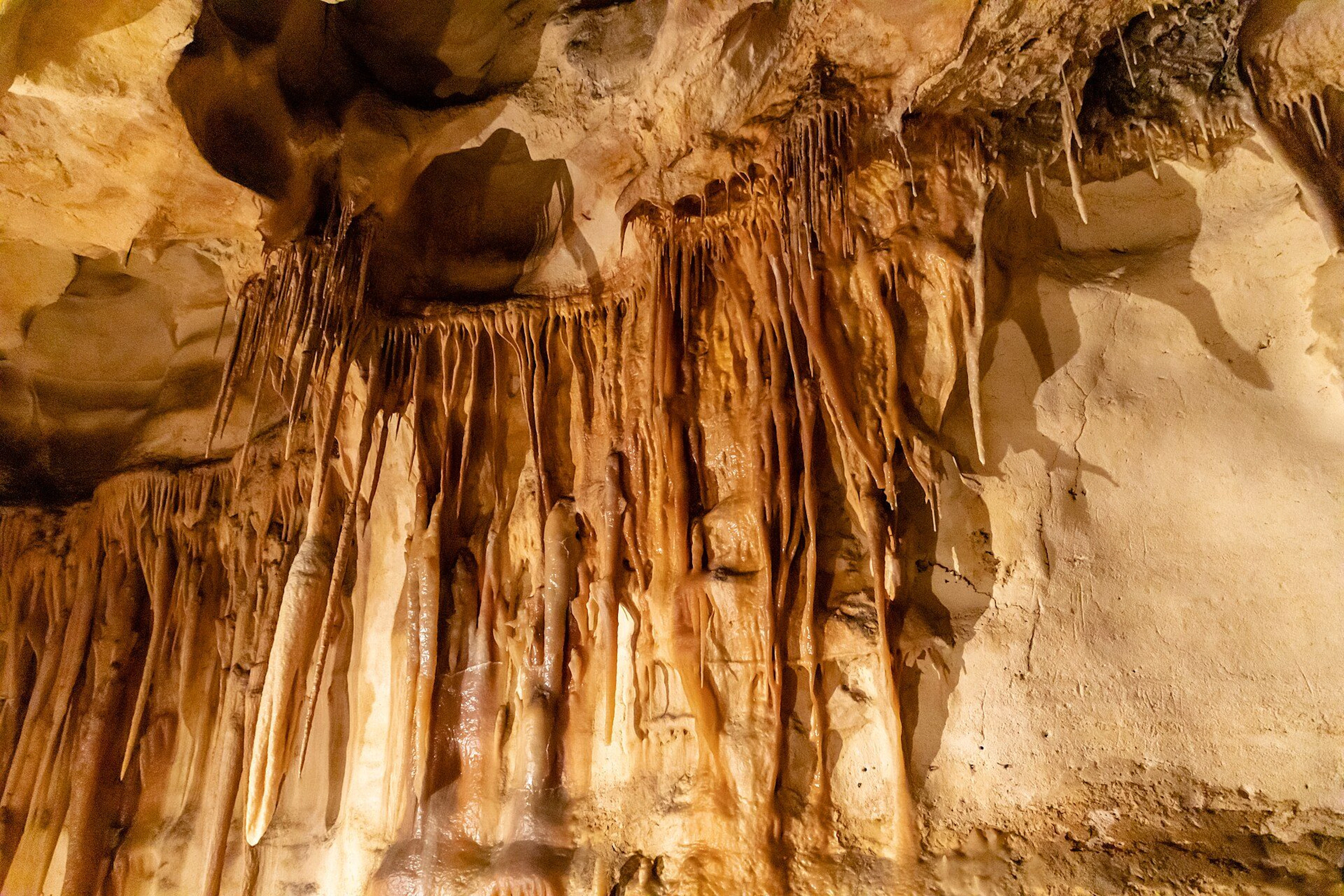 Princess Margaret Rose Caves Camping Area in Mumbannar, VIC — photo 2