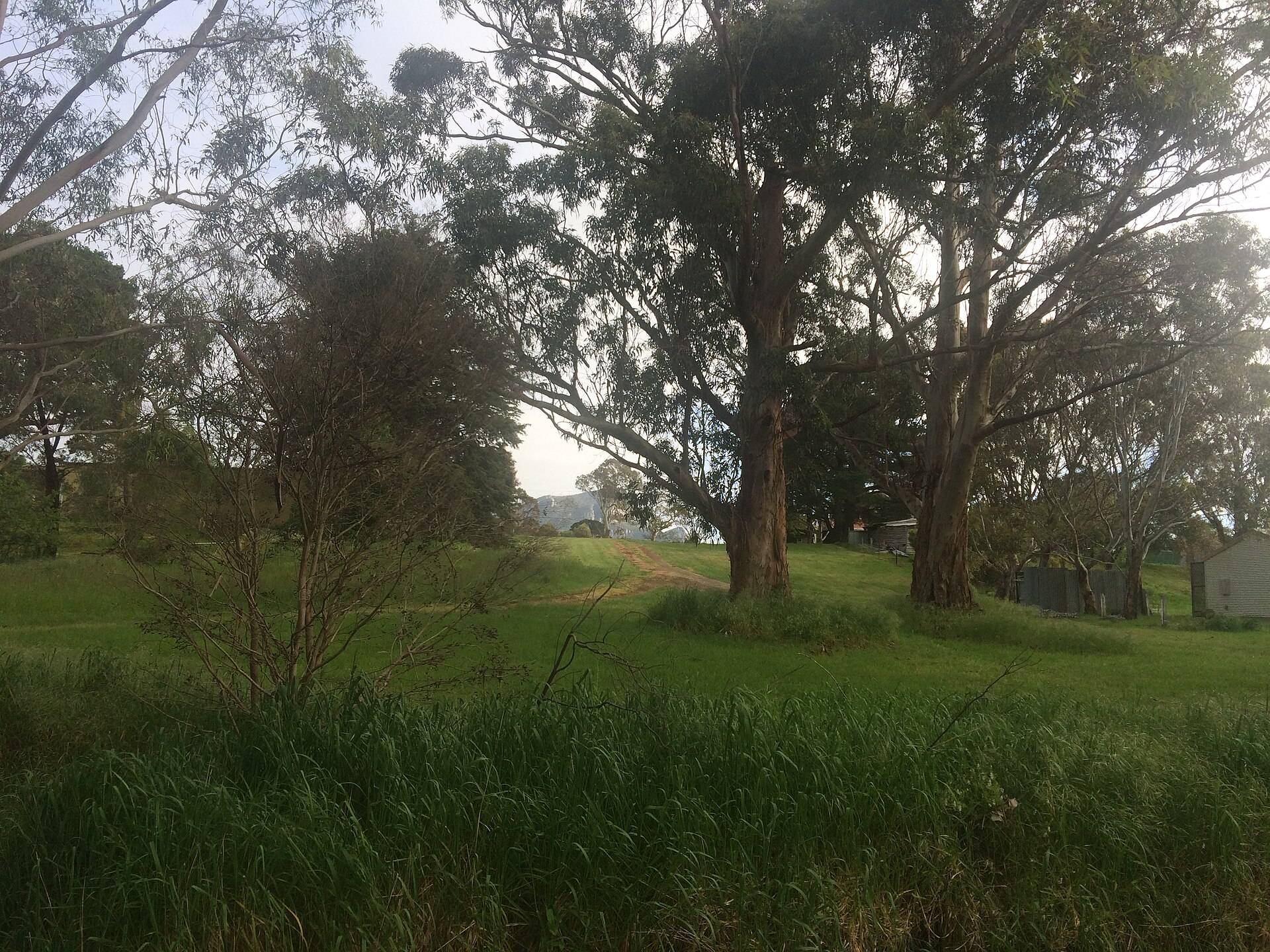 Mount Sturgeon Rest Area — Dunkeld, VIC
