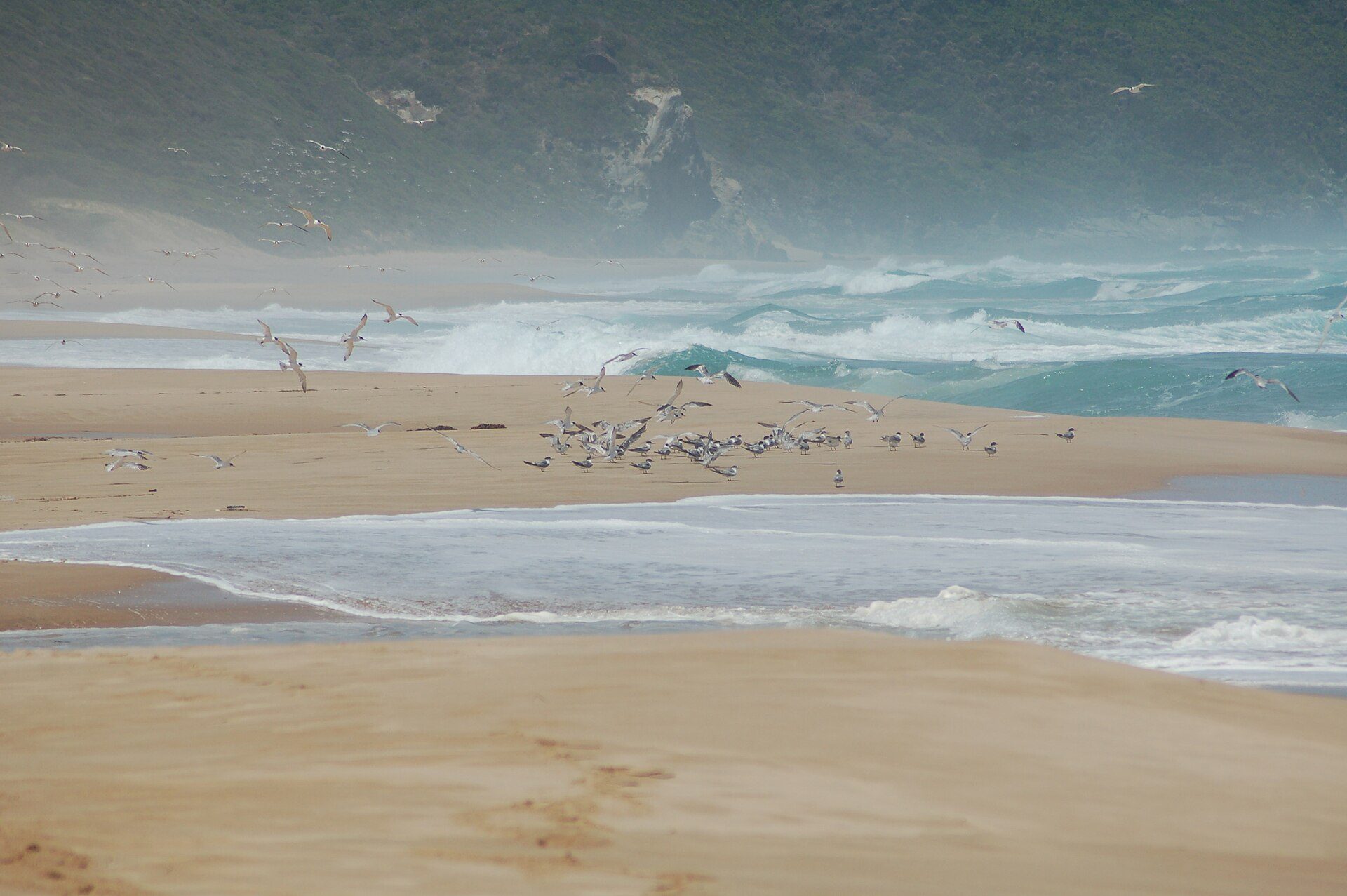 Johanna Beach Campground in Johanna, VIC — photo 2