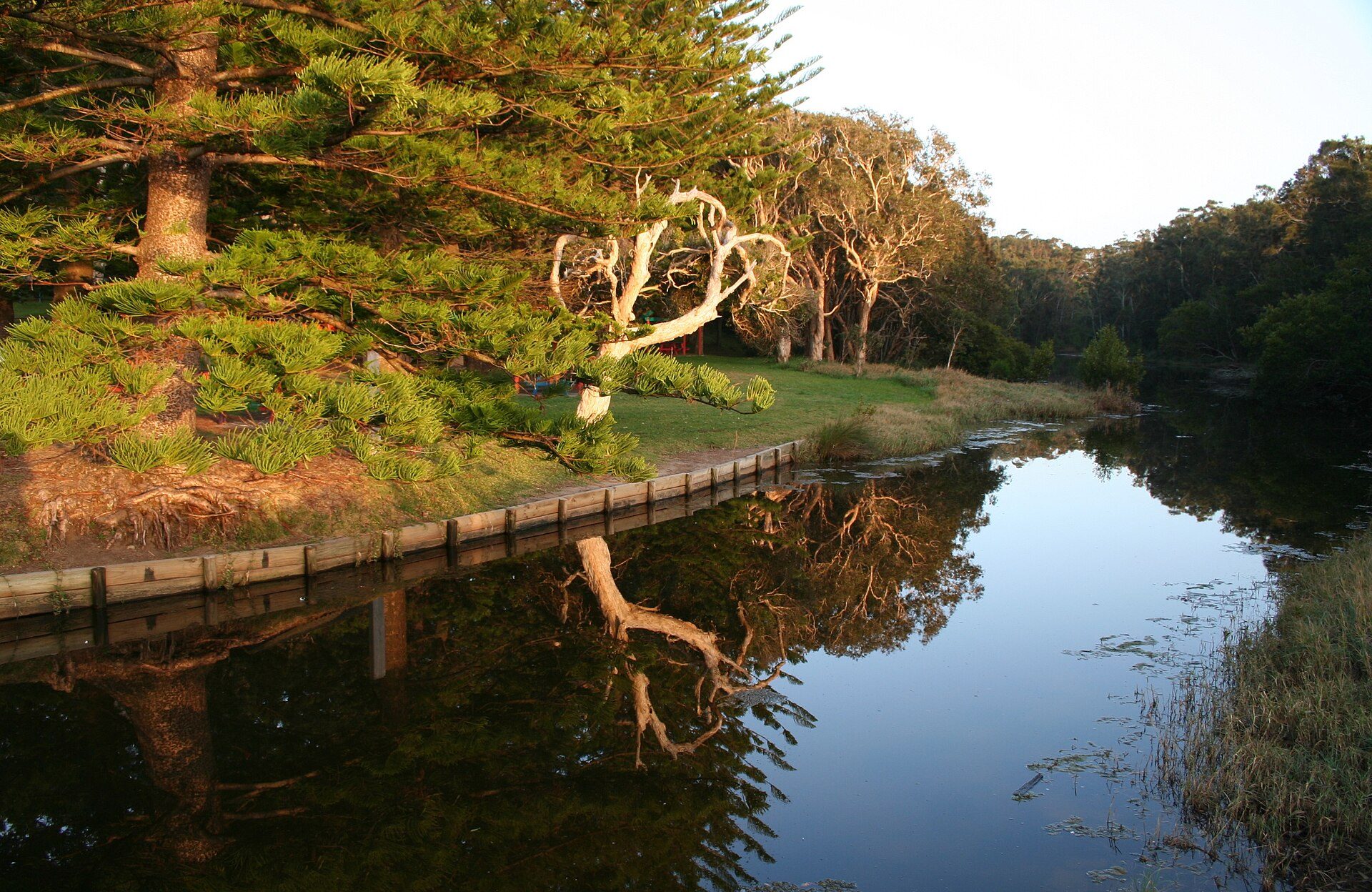 Happy Hallidays Holiday Park in Hallidays Point, NSW — photo 2