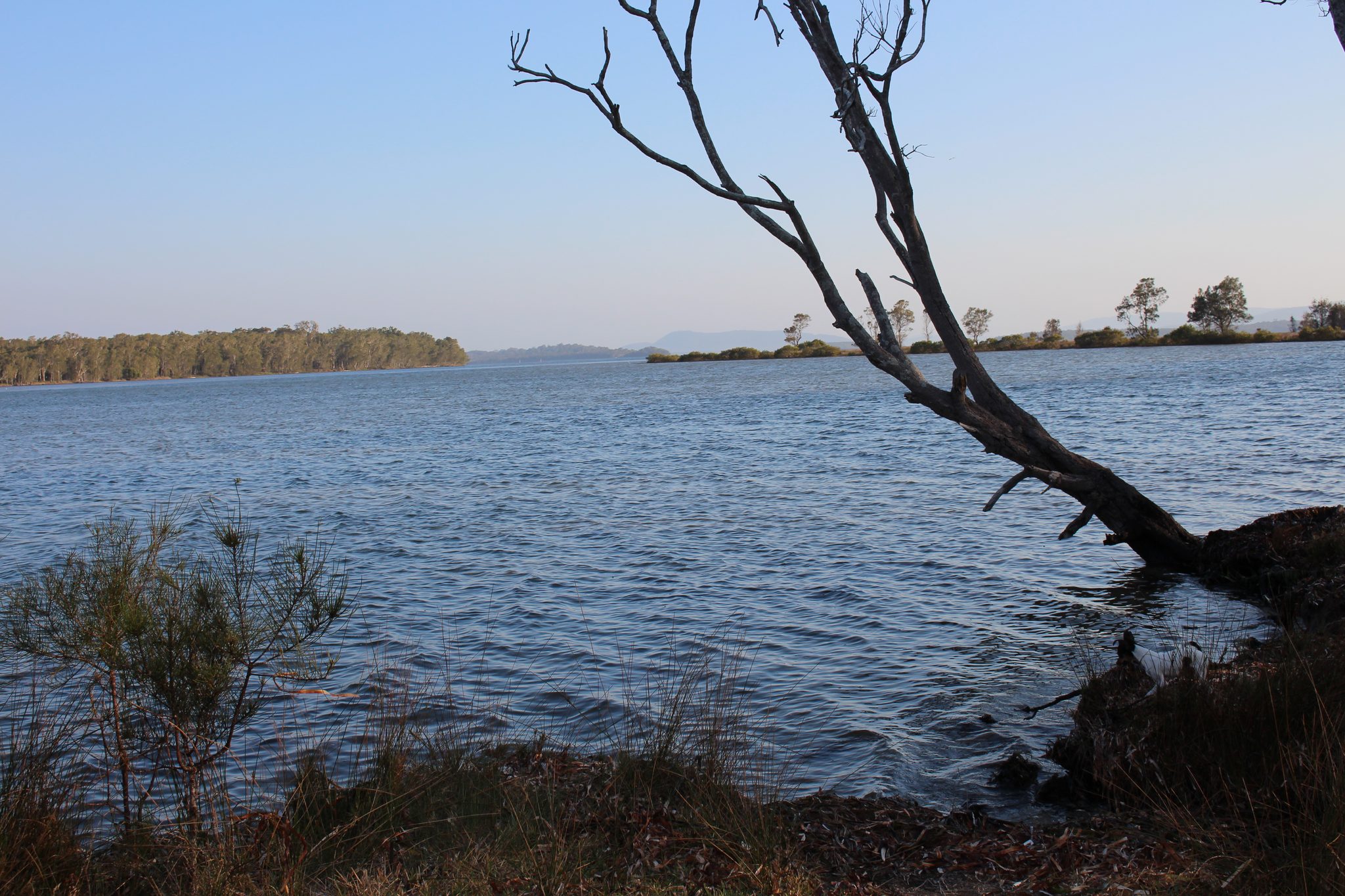Lani's Holiday Island — Forster, NSW