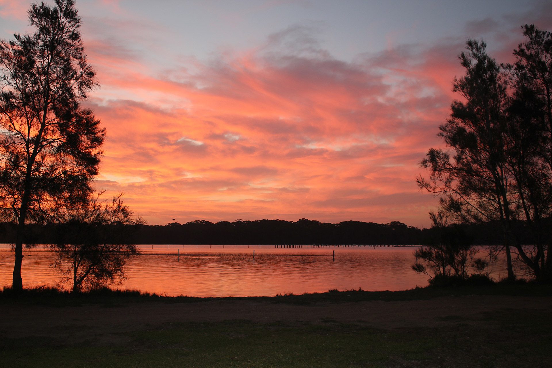 Lani's Holiday Island in Forster, NSW — photo 1