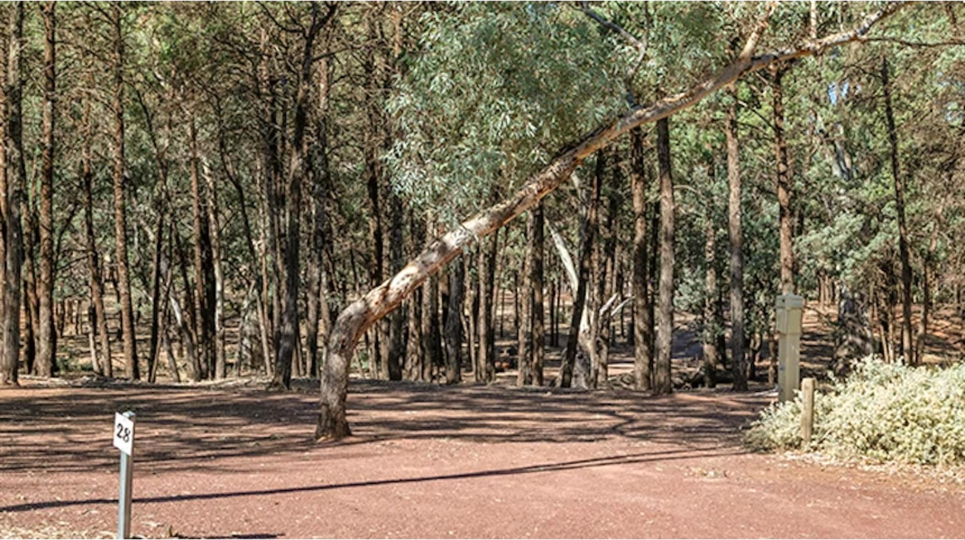 Discovery Resorts - Wilpena Pound in Hawker, SA — photo 2