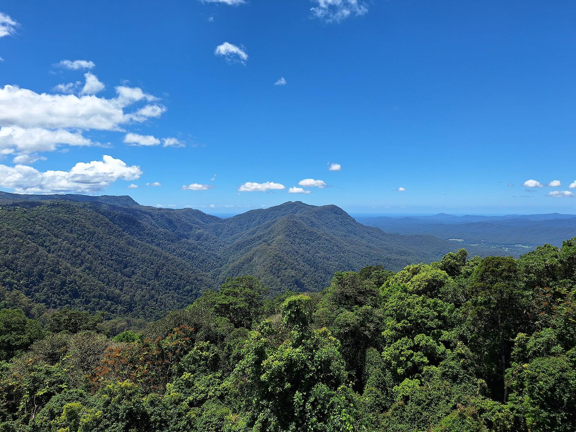 Dorrigo National Park and Rainforest Centre in Dorrigo Mountain, NSW — photo 2