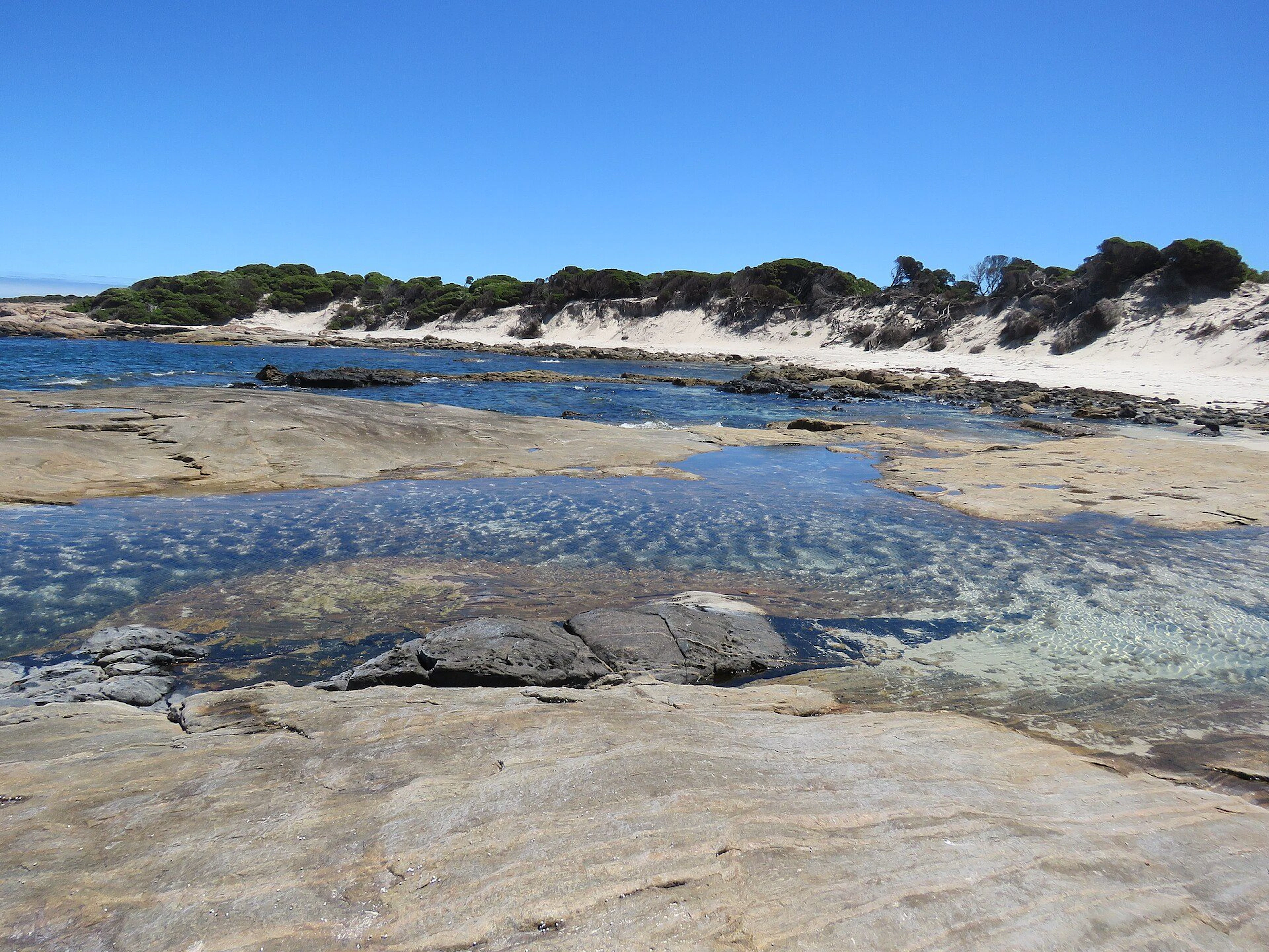 Quagi Beach Campground in Coomalbidgup, WA — photo 2