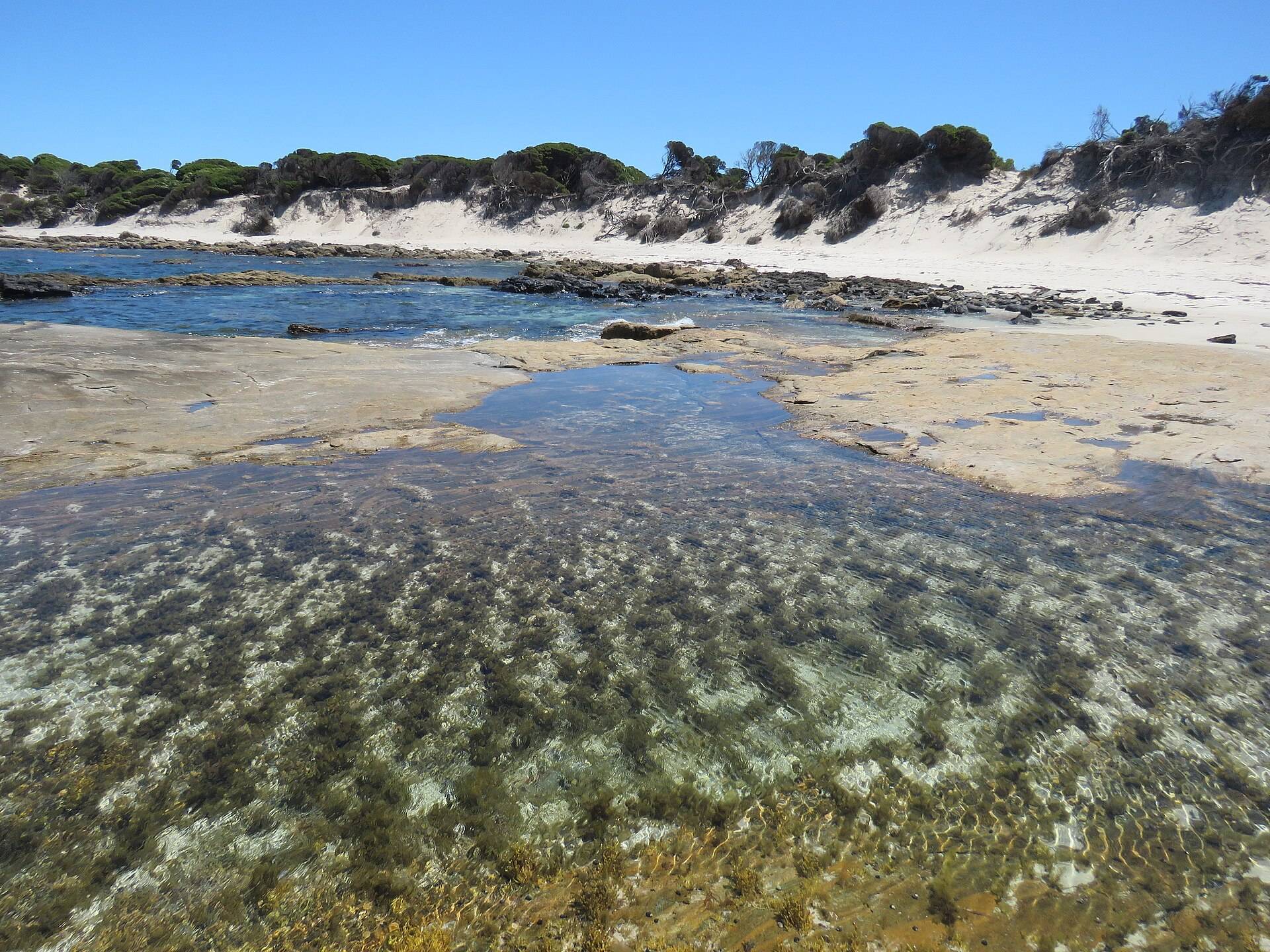 Quagi Beach Campground — Coomalbidgup, WA