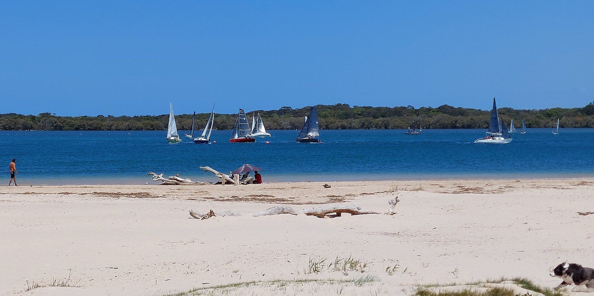 Ballina Central Holiday Park — Ballina, NSW